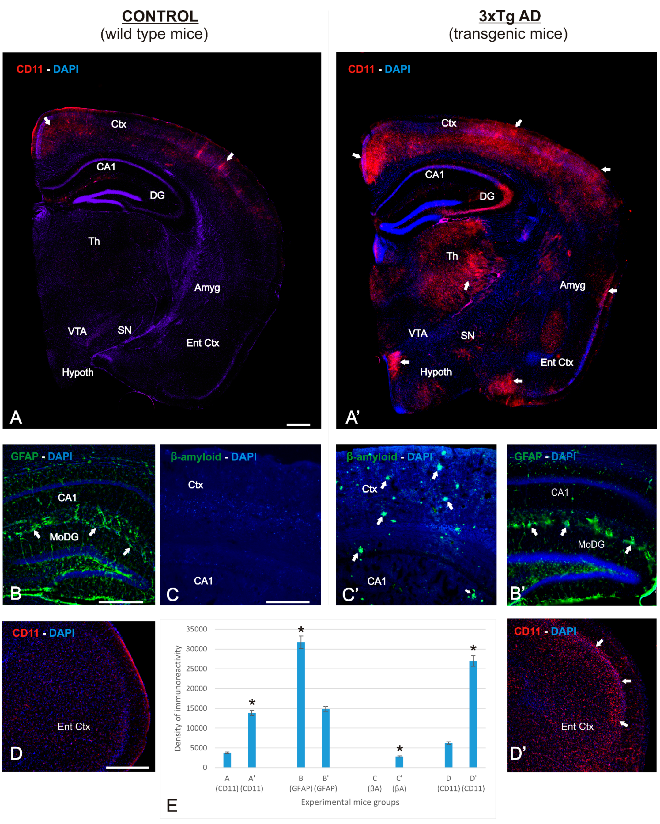 Ijms 23 02446 g001 Ijms 23 02446 g001