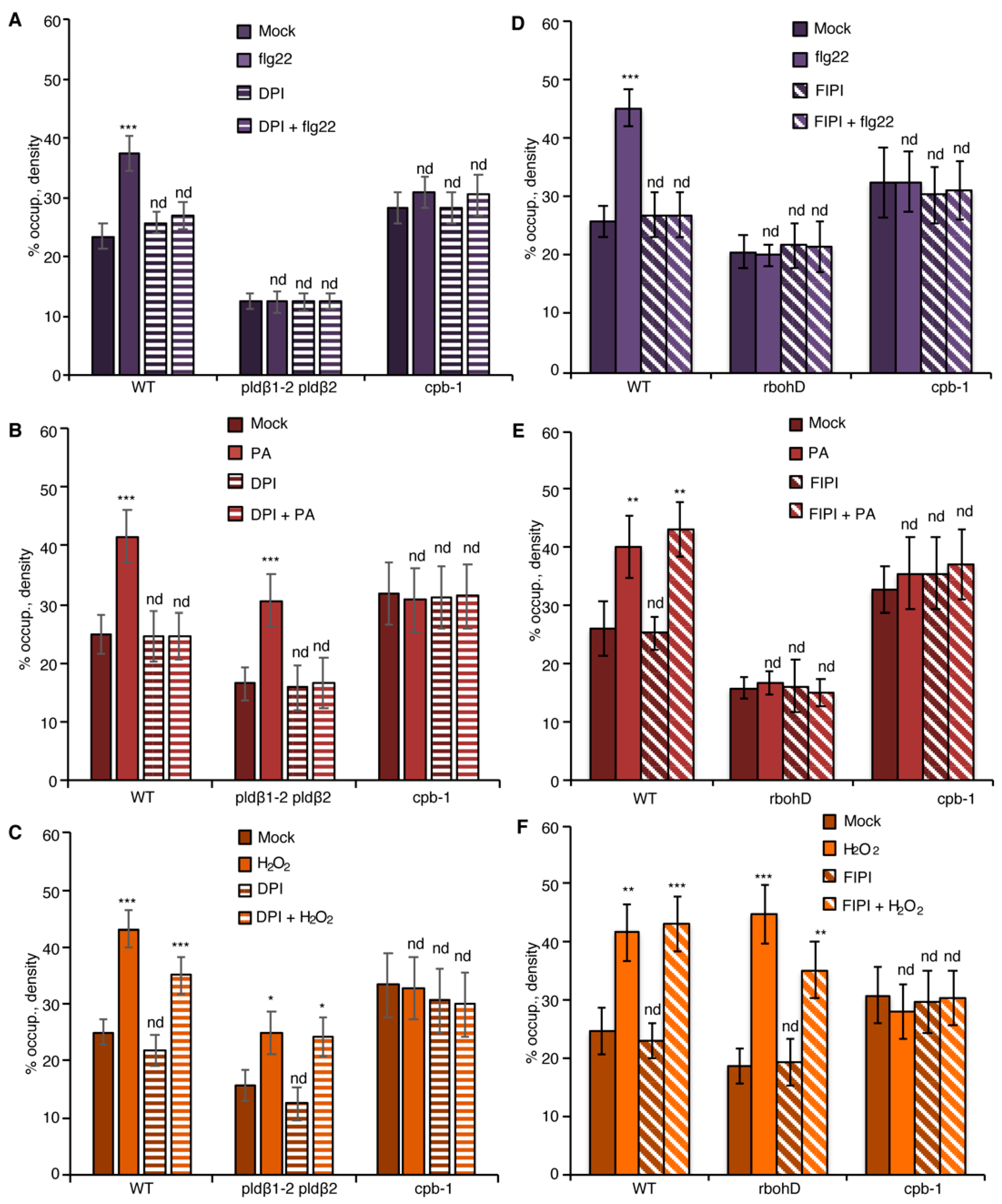 Ijms 23 02447 g004 Ijms 23 02447 g004