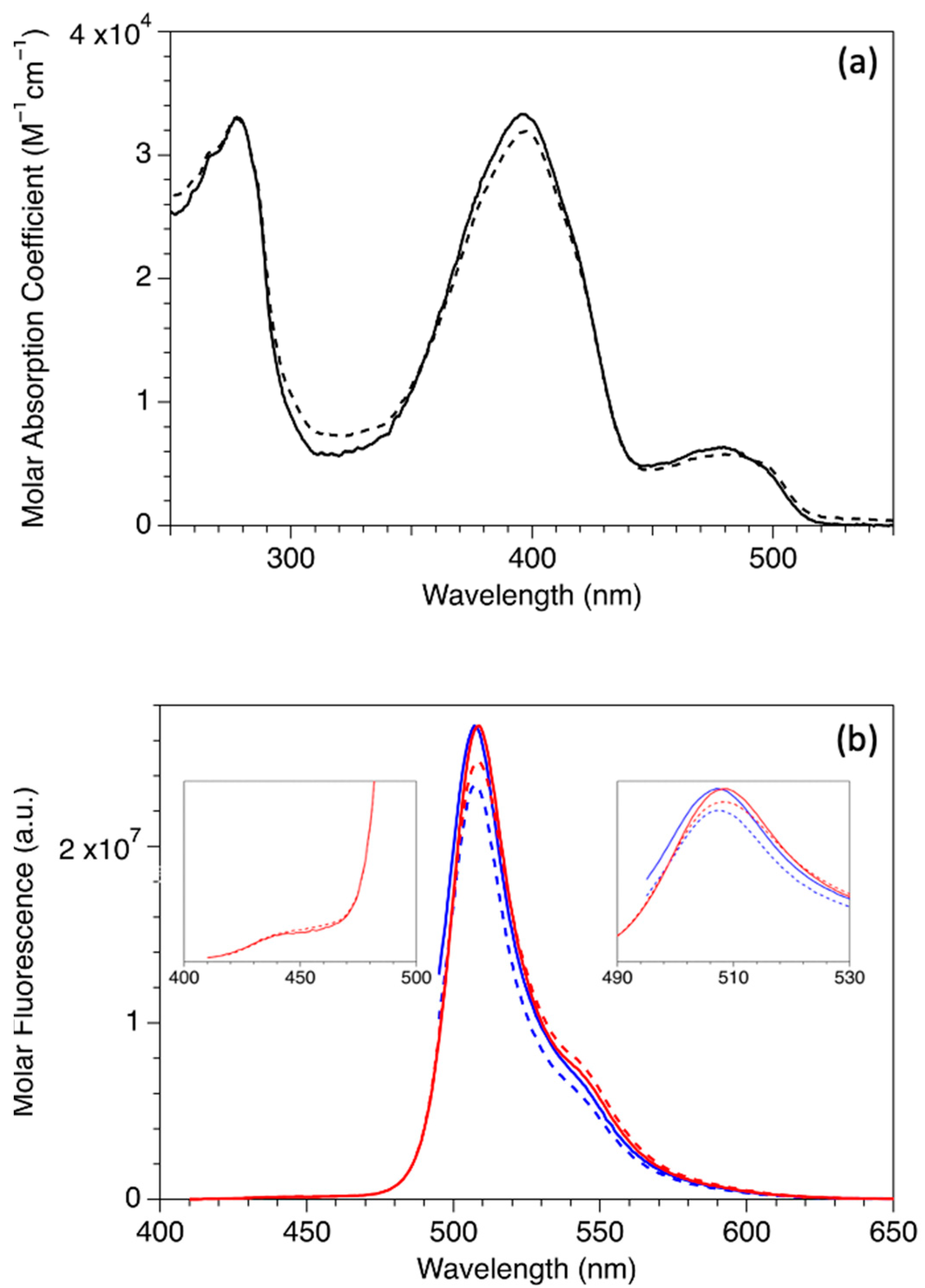Ijms 23 02482 g001 Ijms 23 02482 g001