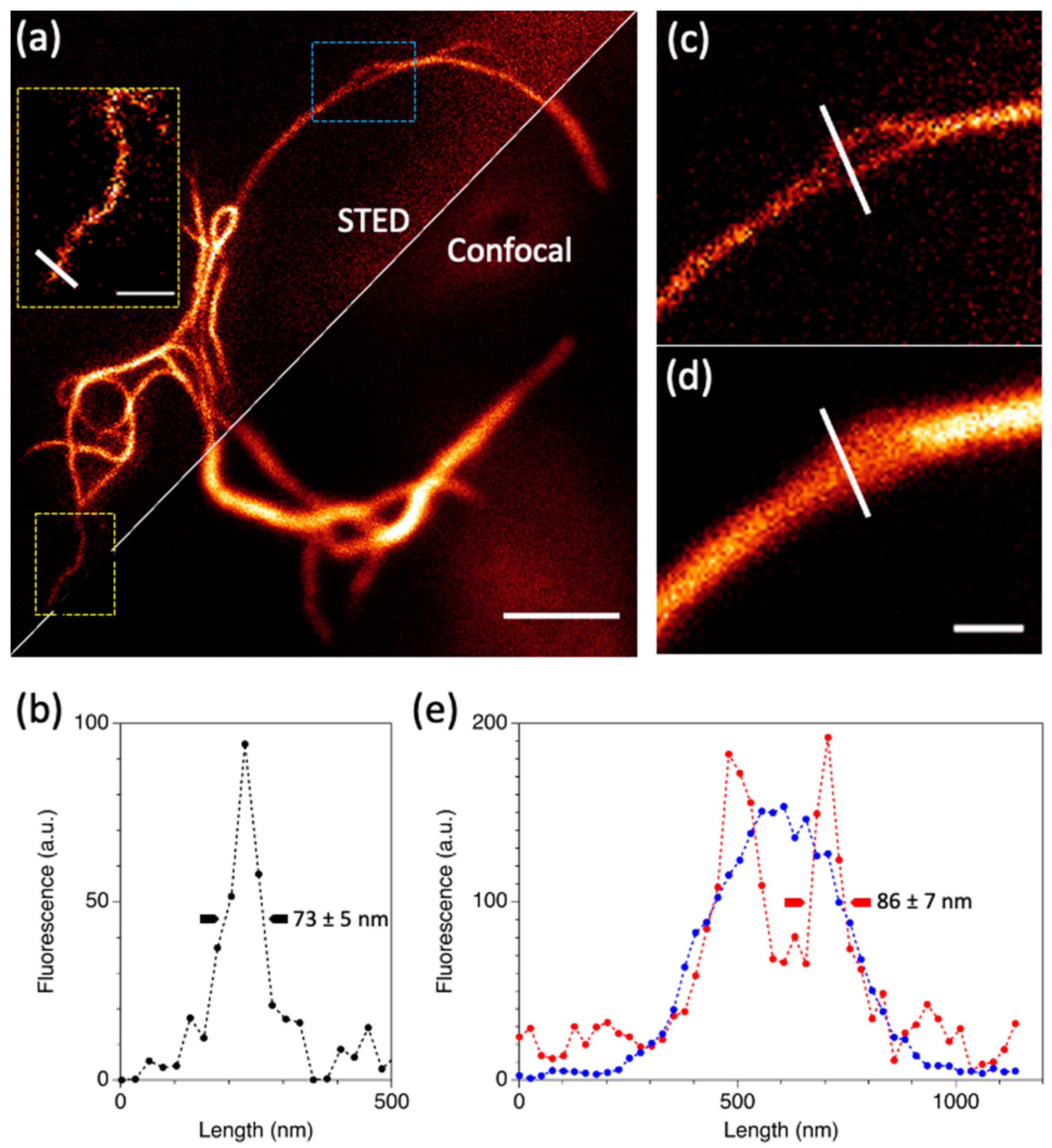 Ijms 23 02482 g006 Ijms 23 02482 g006