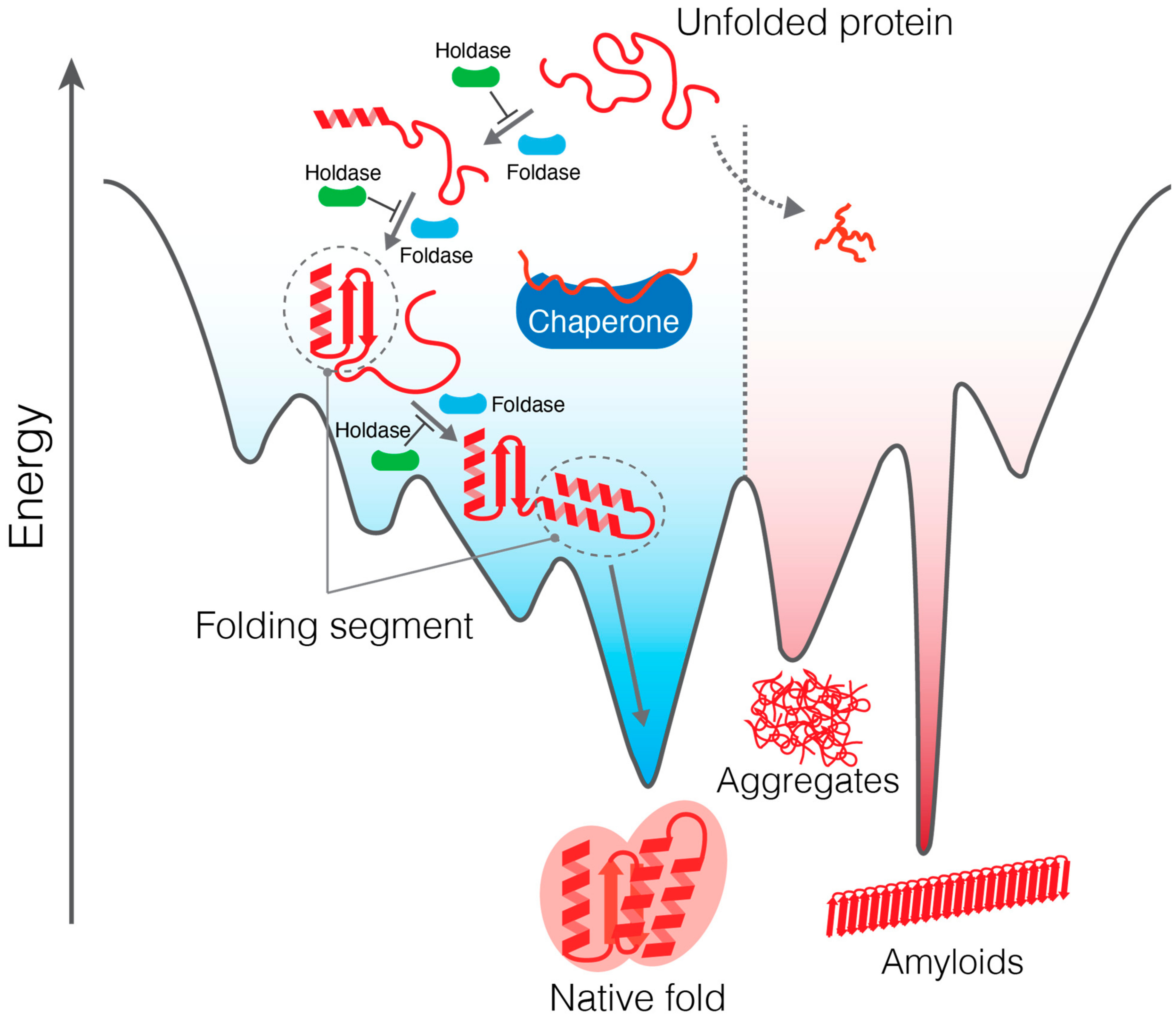 Ijms 23 02485 g001 Ijms 23 02485 g001