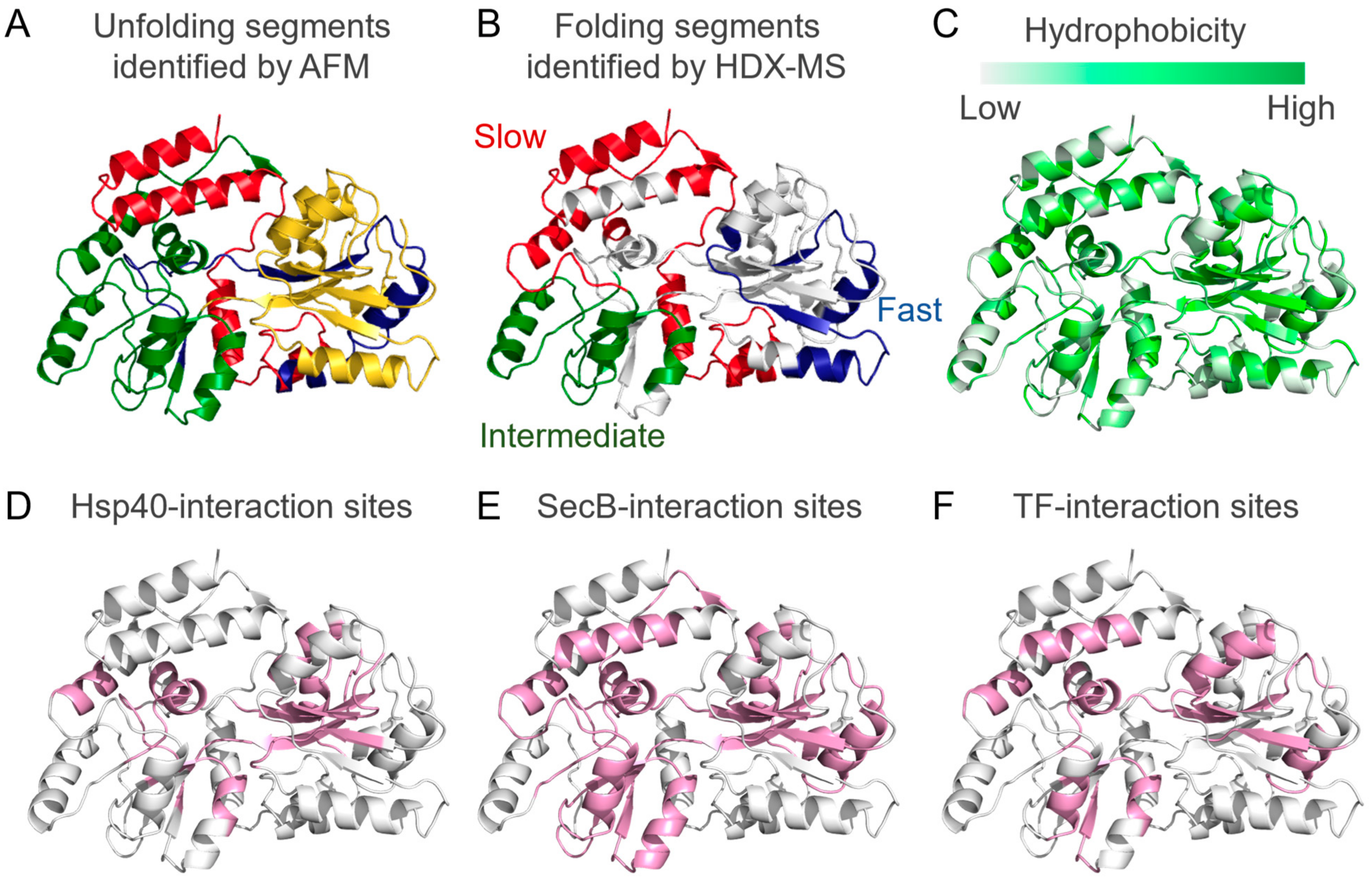 Ijms 23 02485 g002 Ijms 23 02485 g002