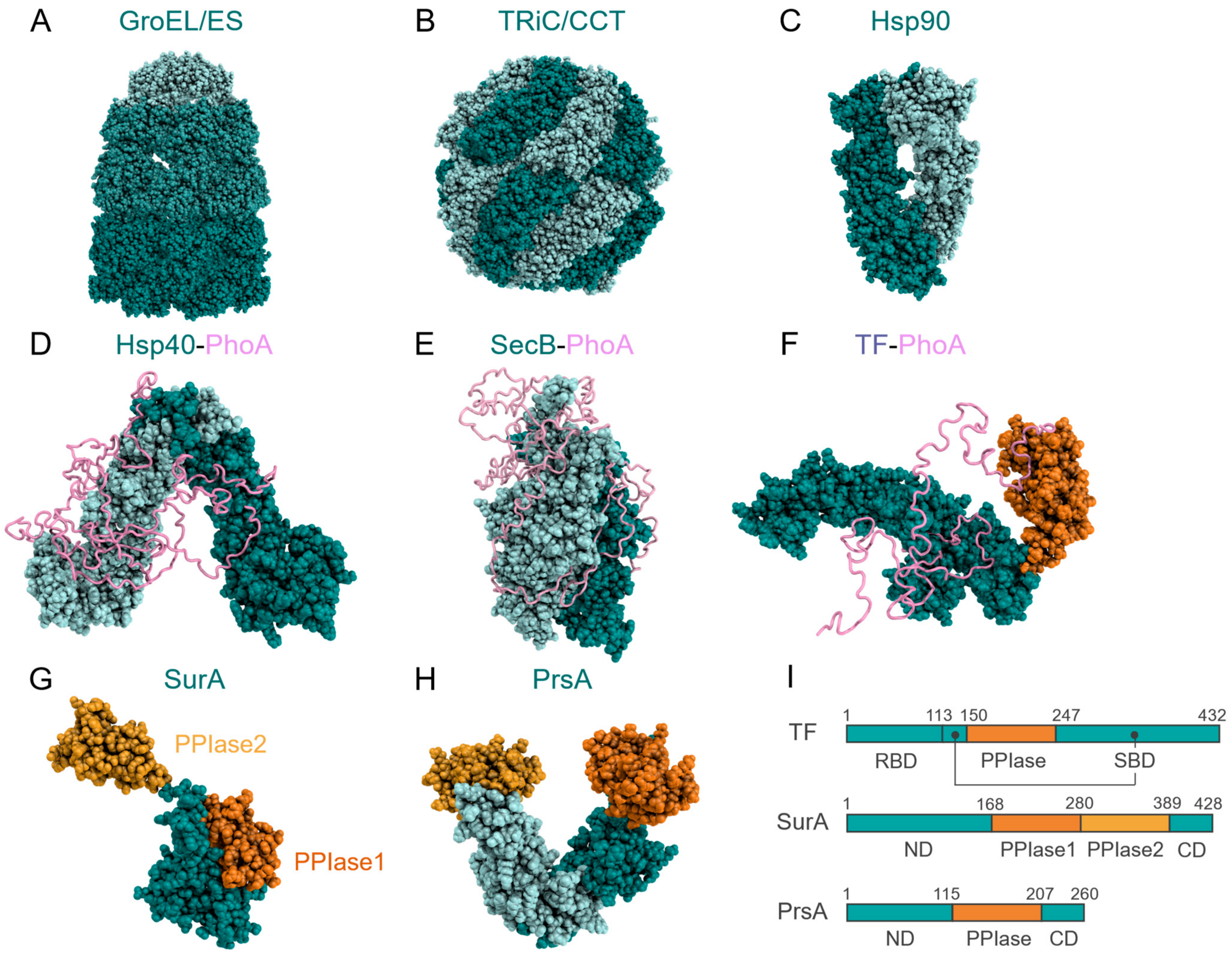 Ijms 23 02485 g003 Ijms 23 02485 g003