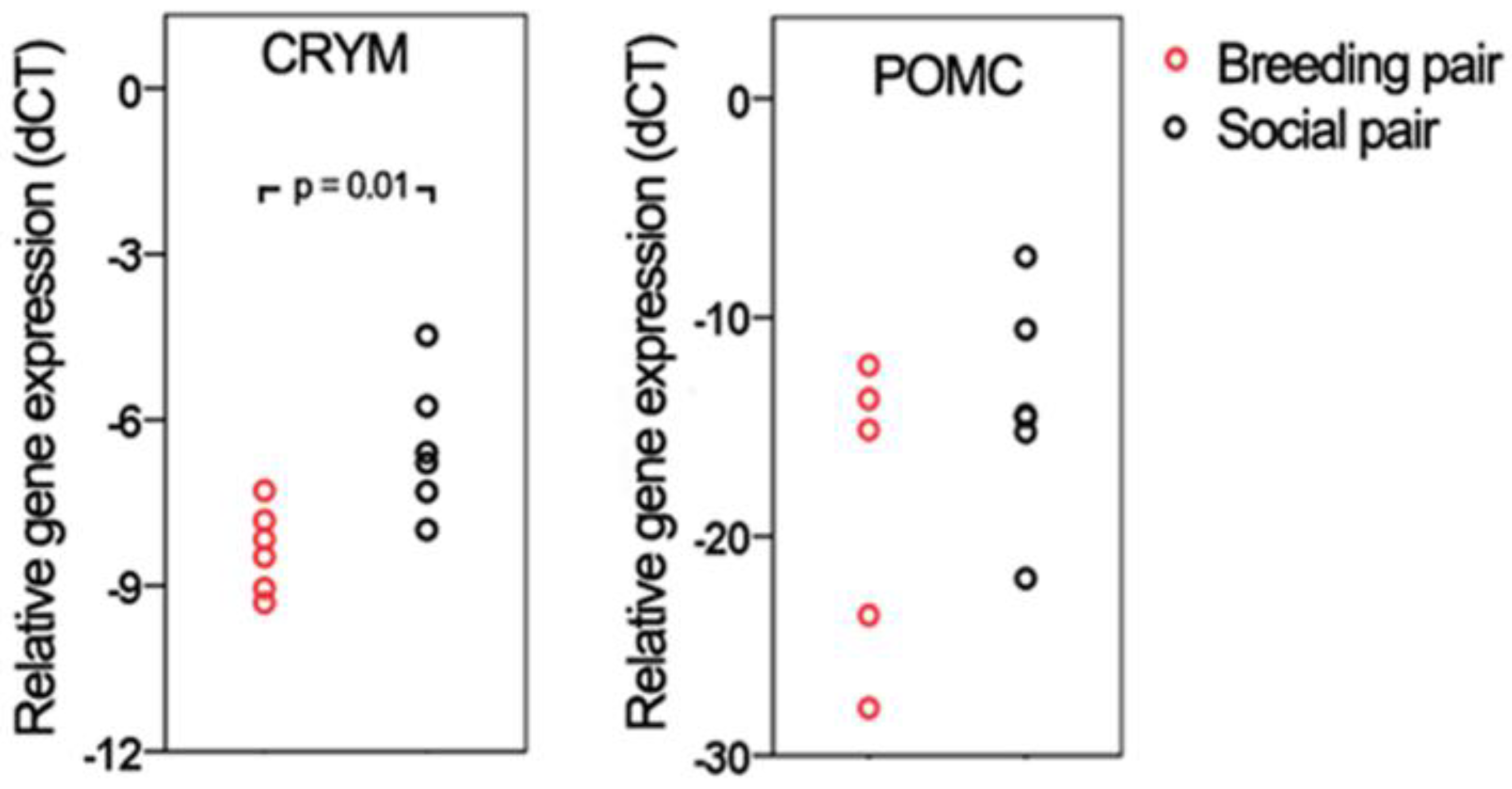 Ijms 23 02518 g002 Ijms 23 02518 g002