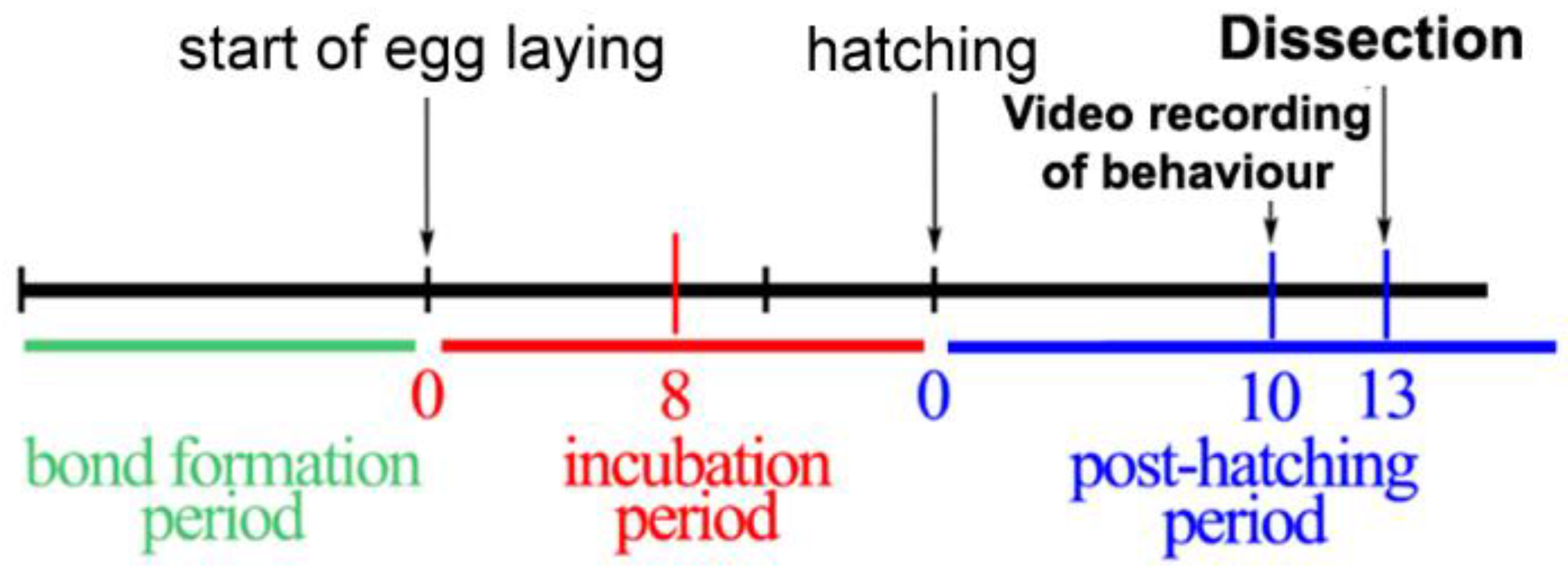 Ijms 23 02518 g005 Ijms 23 02518 g005