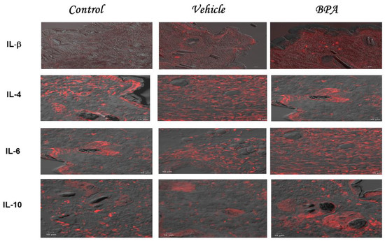 Ijms 23 02523 g001 550