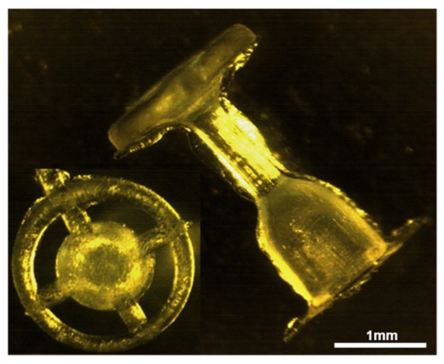 Ijms 23 02575 g009