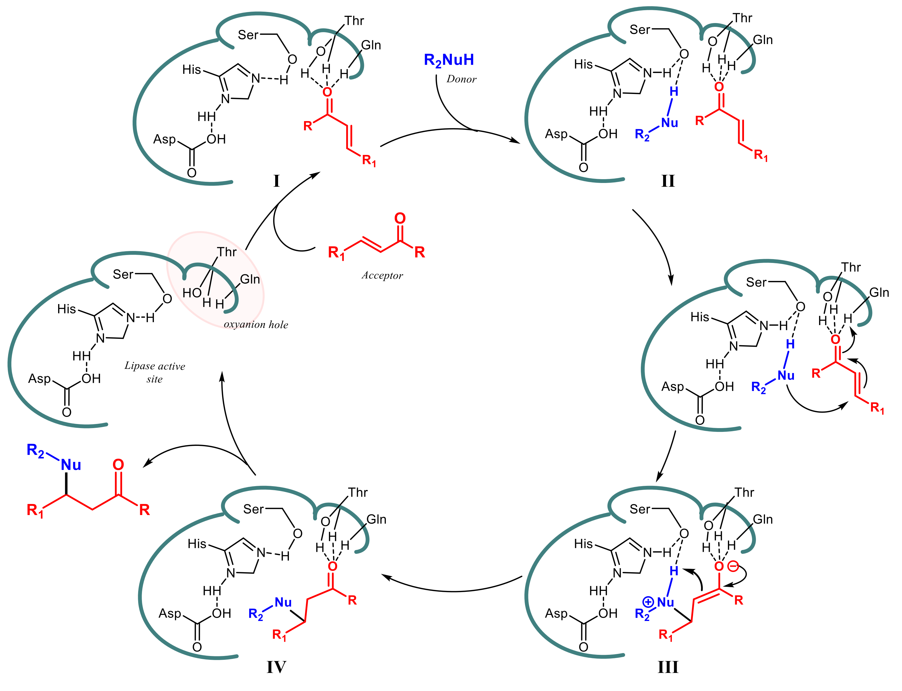 Ijms 23 02675 sch015