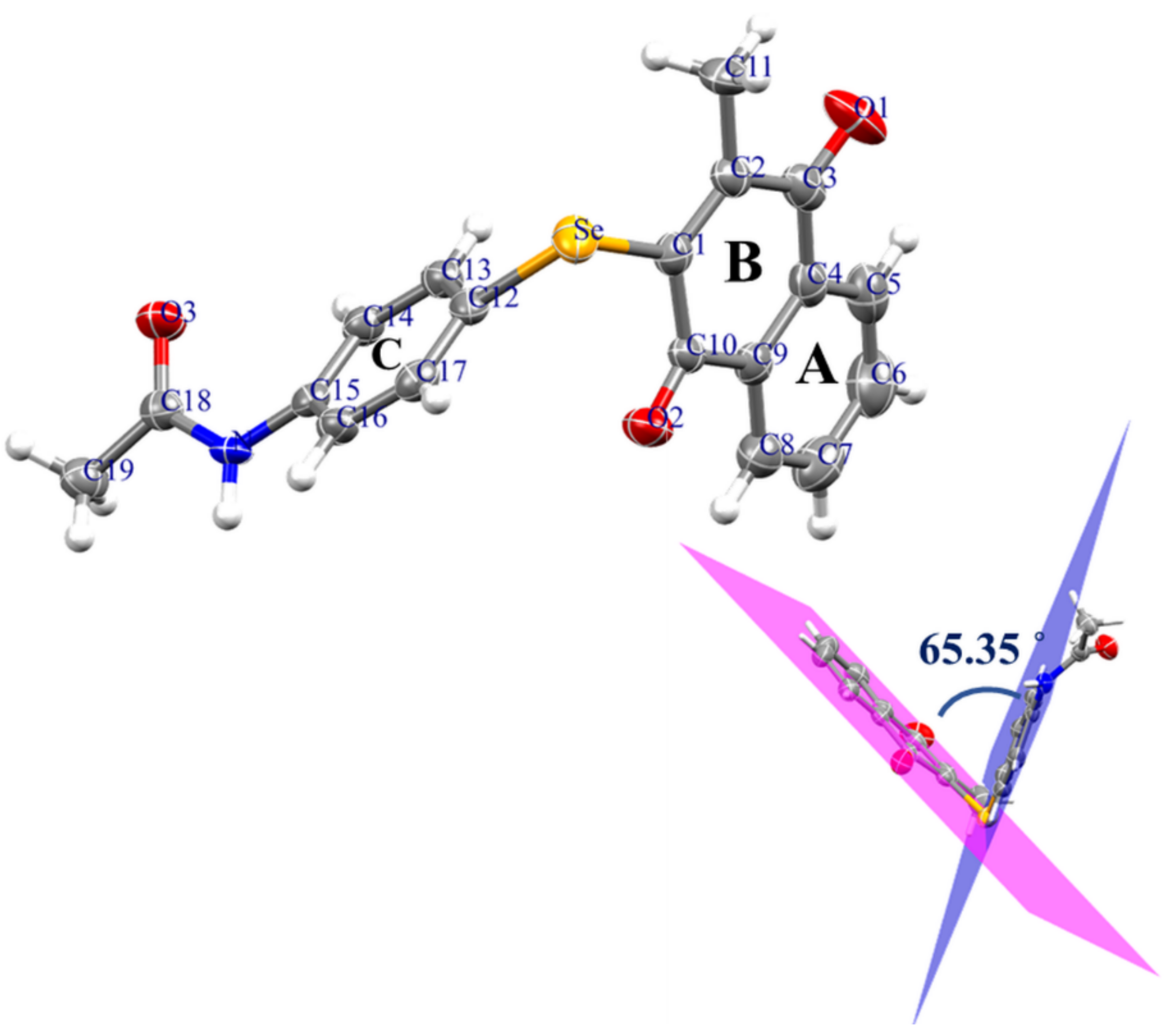 Ijms 23 02716 g002 Ijms 23 02716 g002