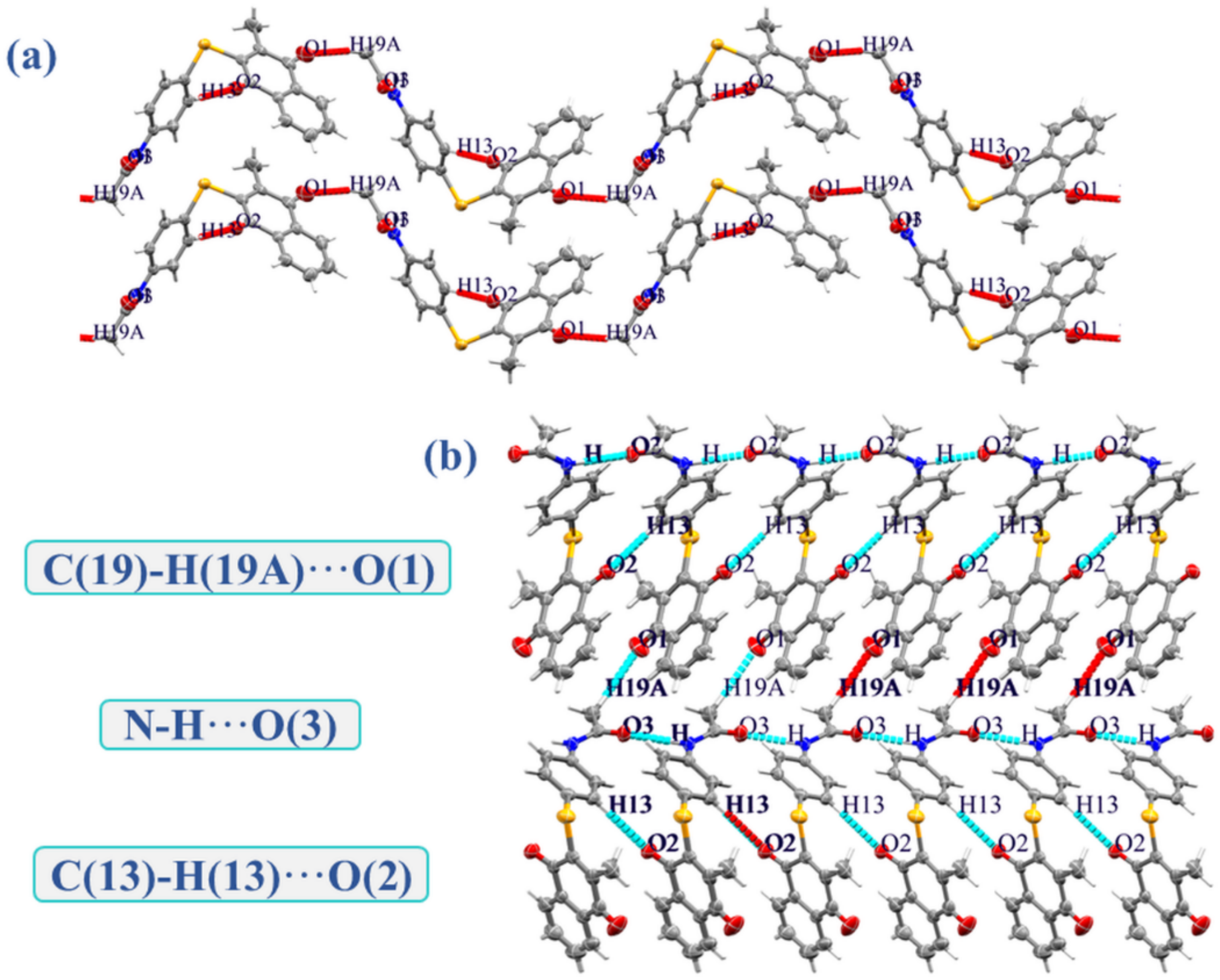 Ijms 23 02716 g003 Ijms 23 02716 g003