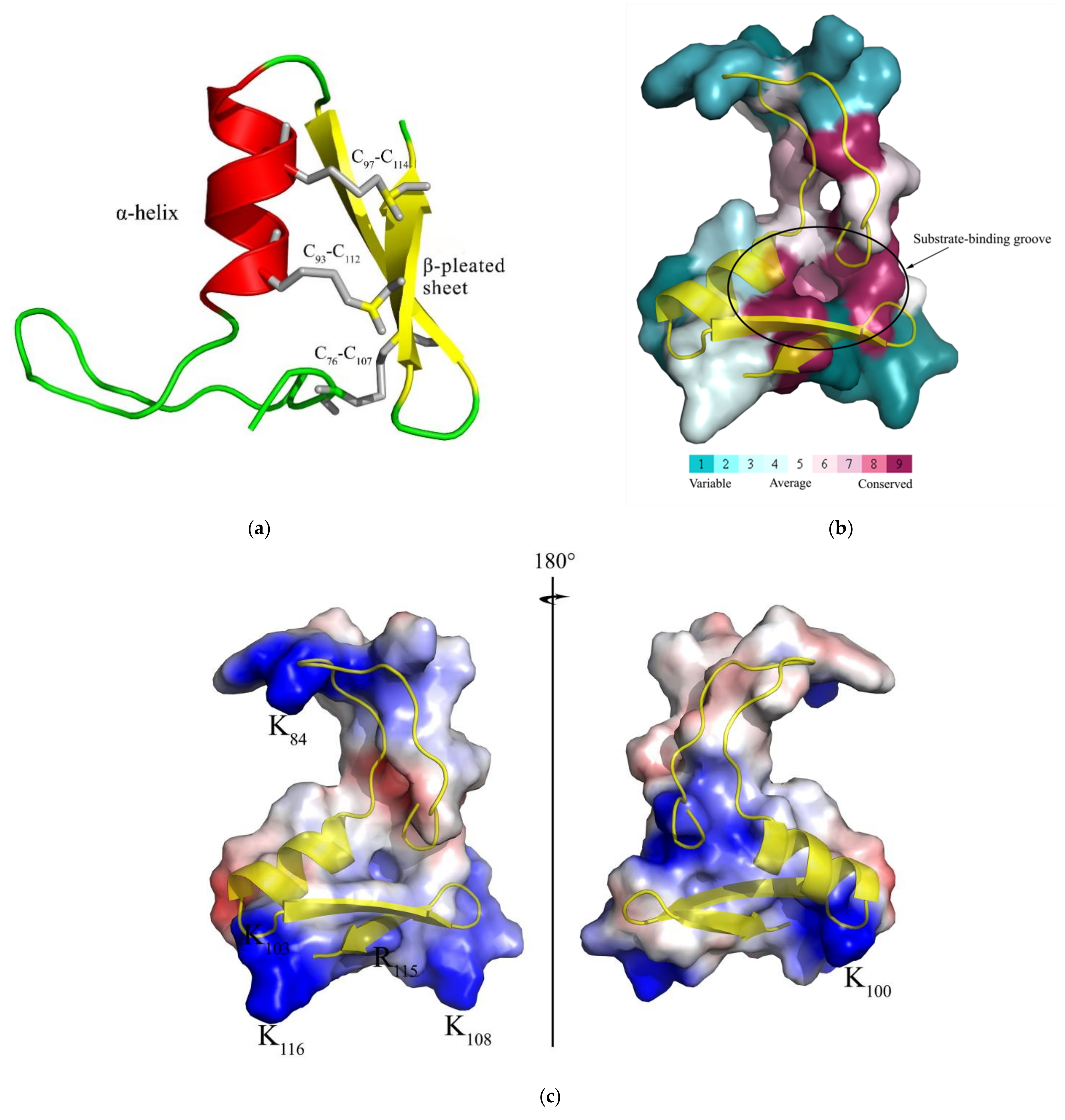 Ijms 23 02789 g003 Ijms 23 02789 g003