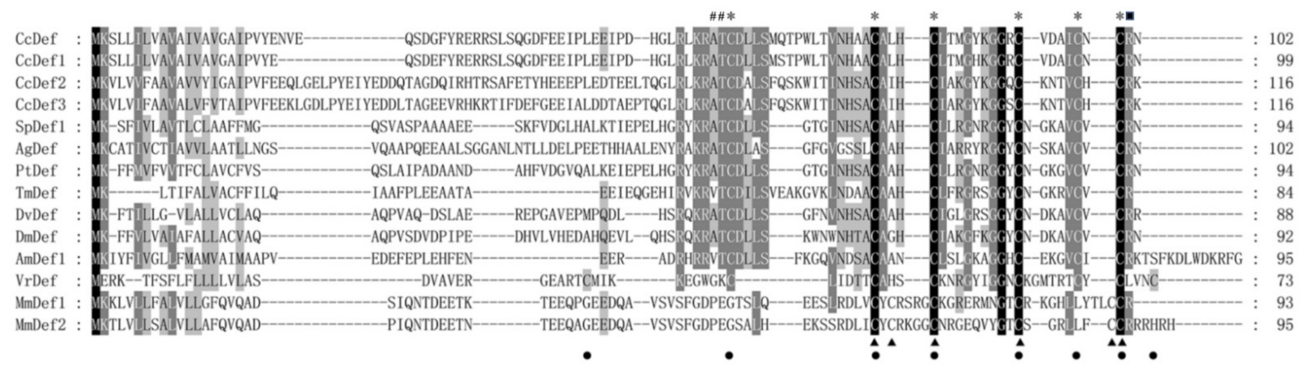 Ijms 23 02789 g004 Ijms 23 02789 g004