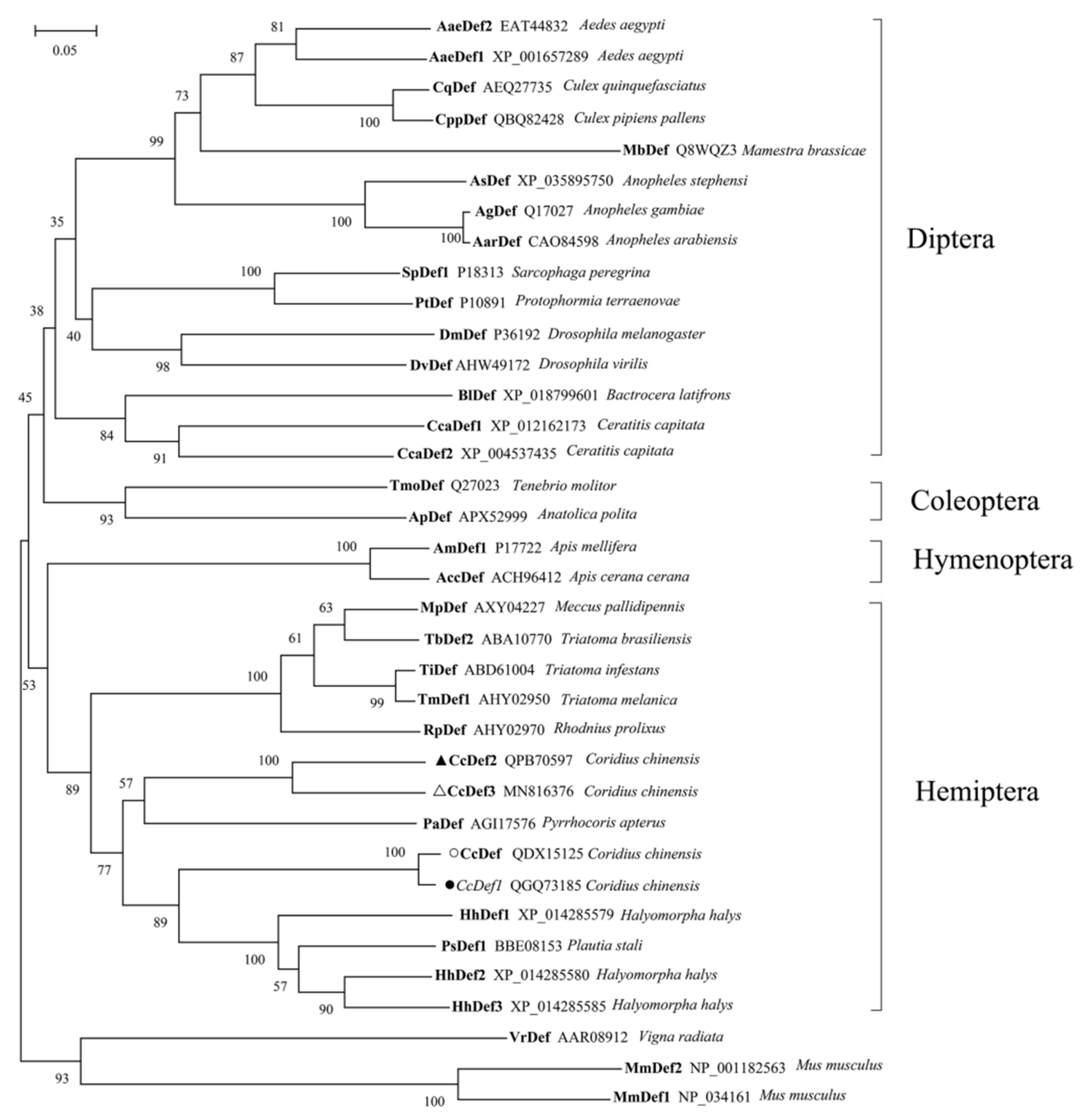 Ijms 23 02789 g005 Ijms 23 02789 g005