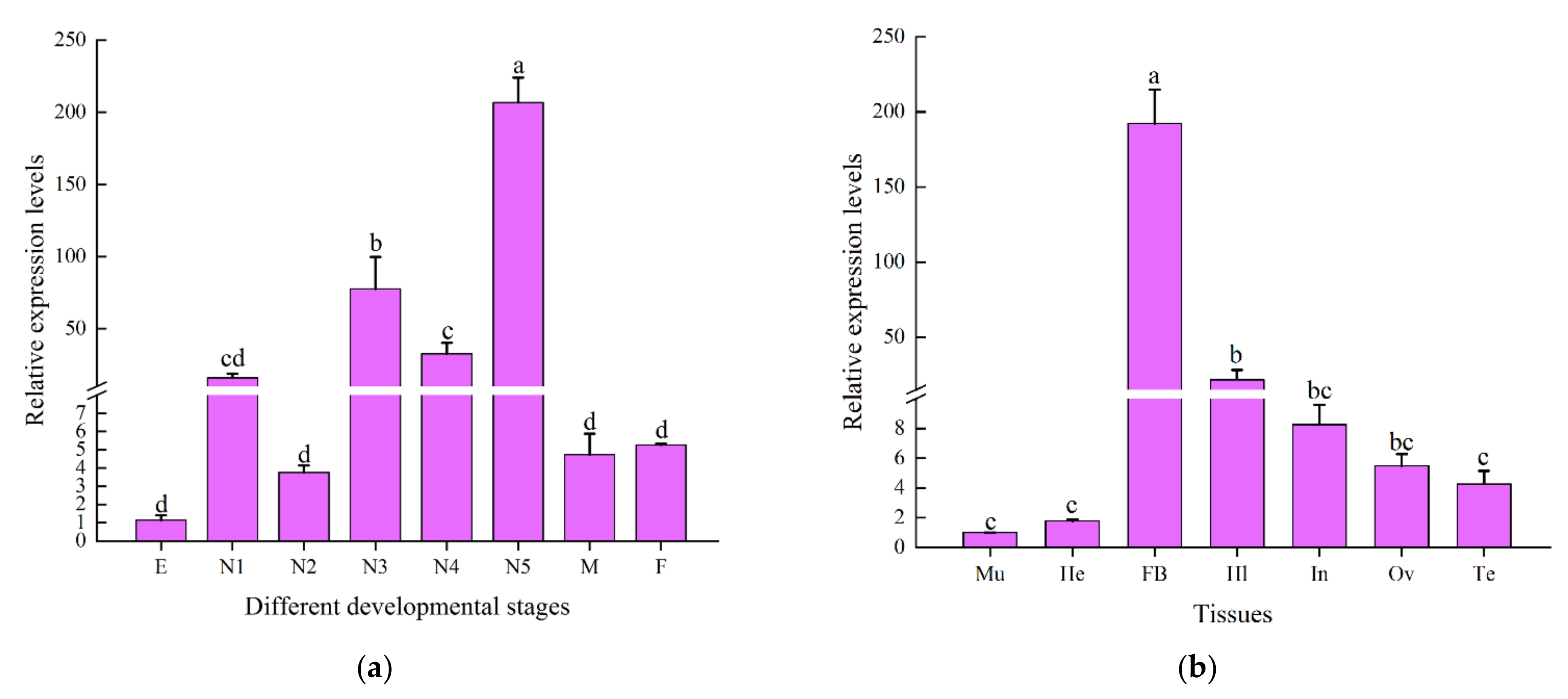 Ijms 23 02789 g006 Ijms 23 02789 g006