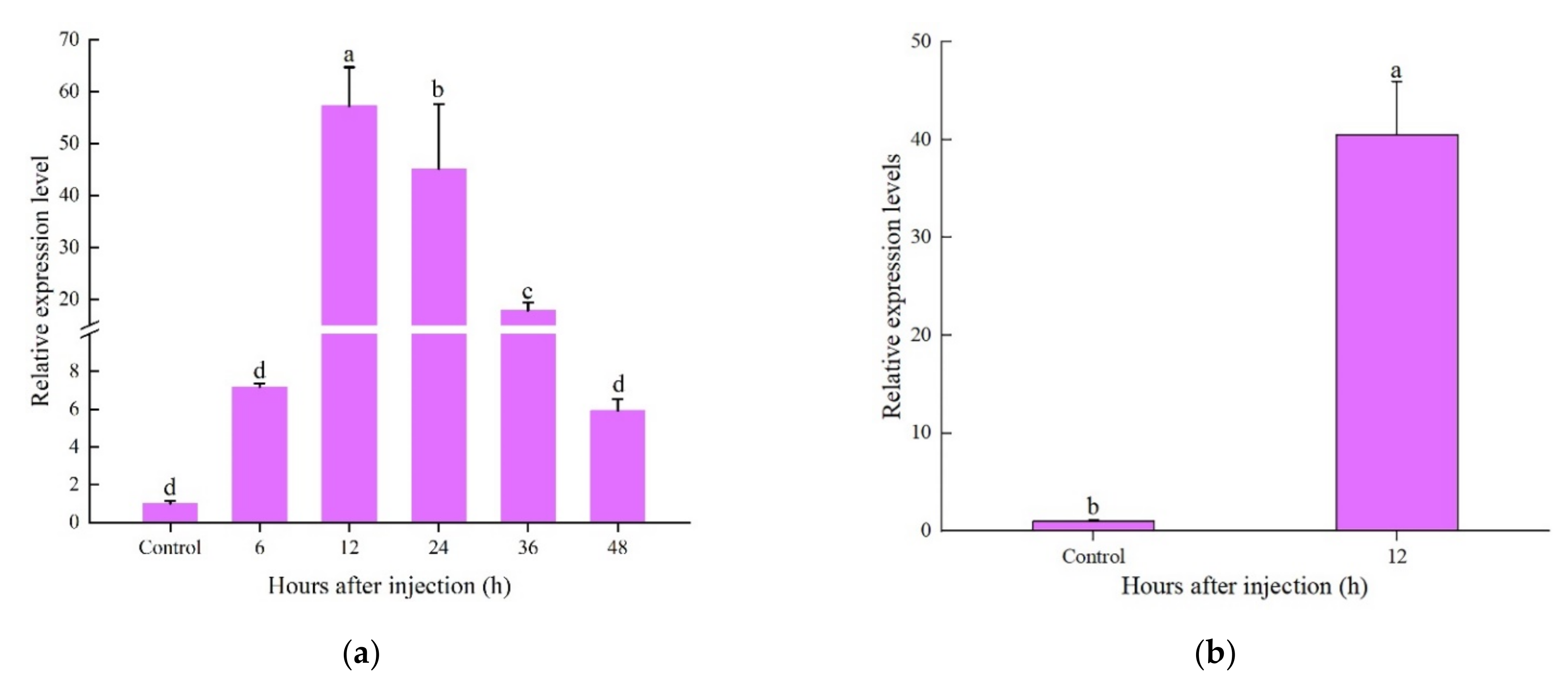Ijms 23 02789 g007 Ijms 23 02789 g007