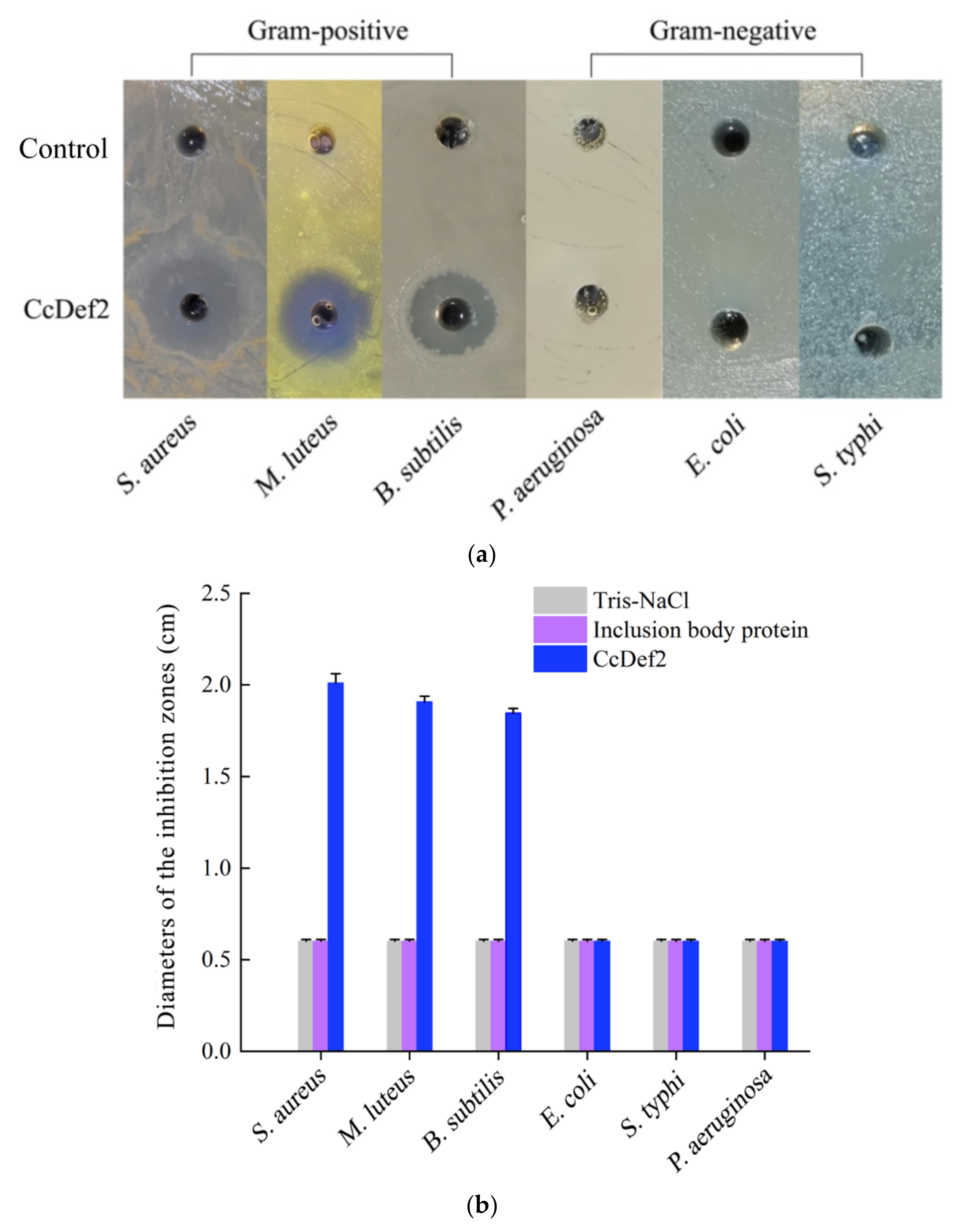 Ijms 23 02789 g009 Ijms 23 02789 g009