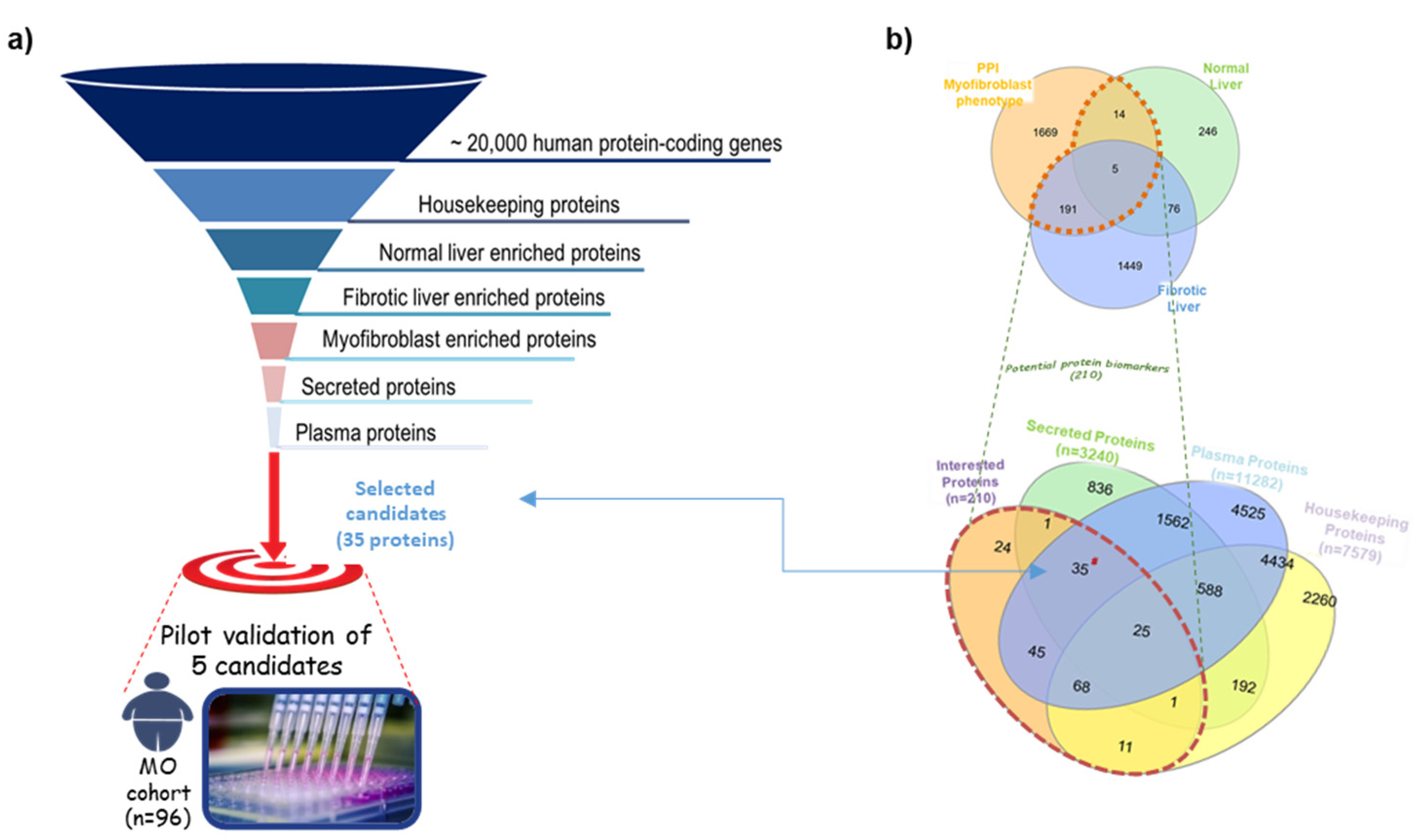Ijms 23 02813 g001 Ijms 23 02813 g001