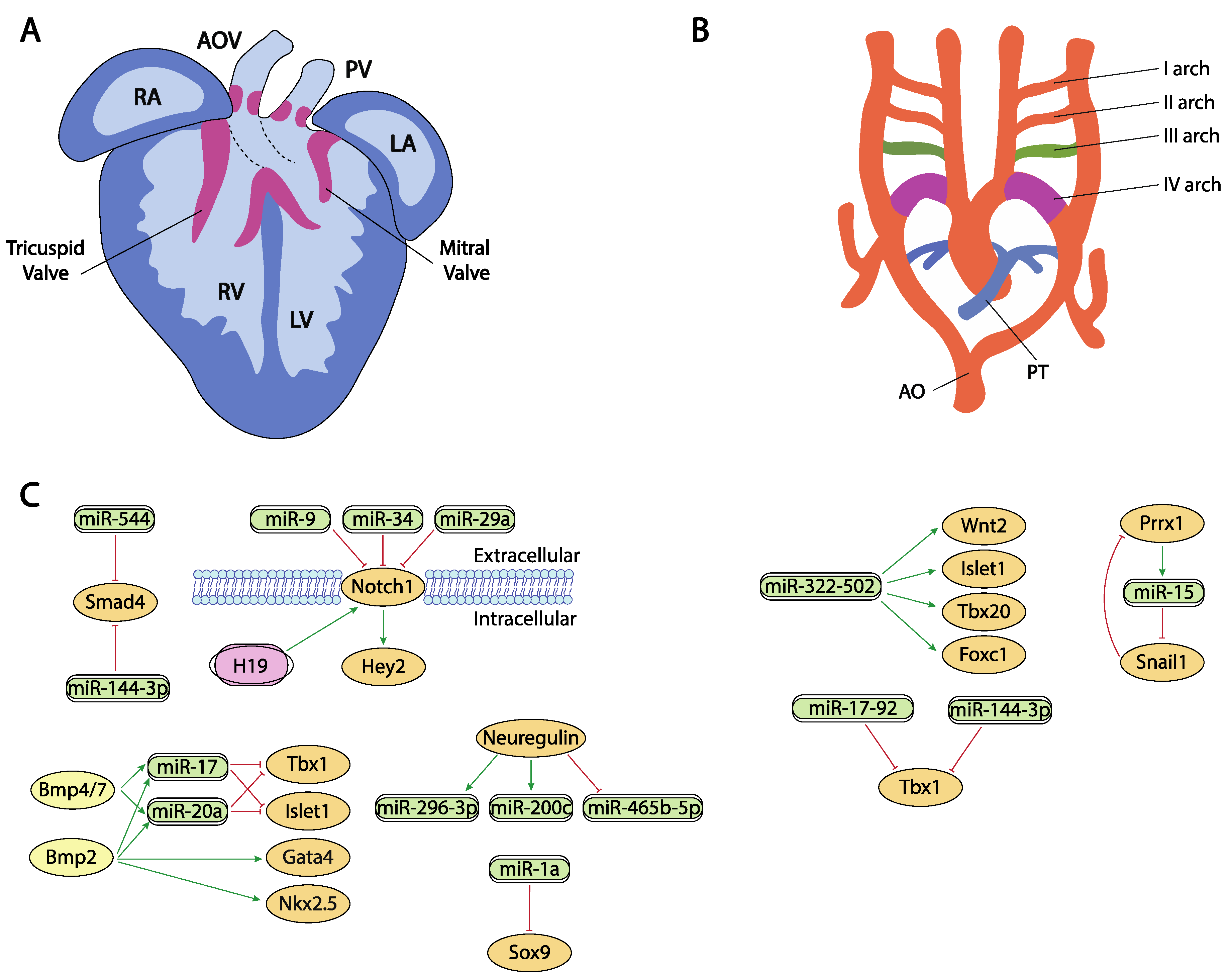 Ijms 23 02839 g003 Ijms 23 02839 g003