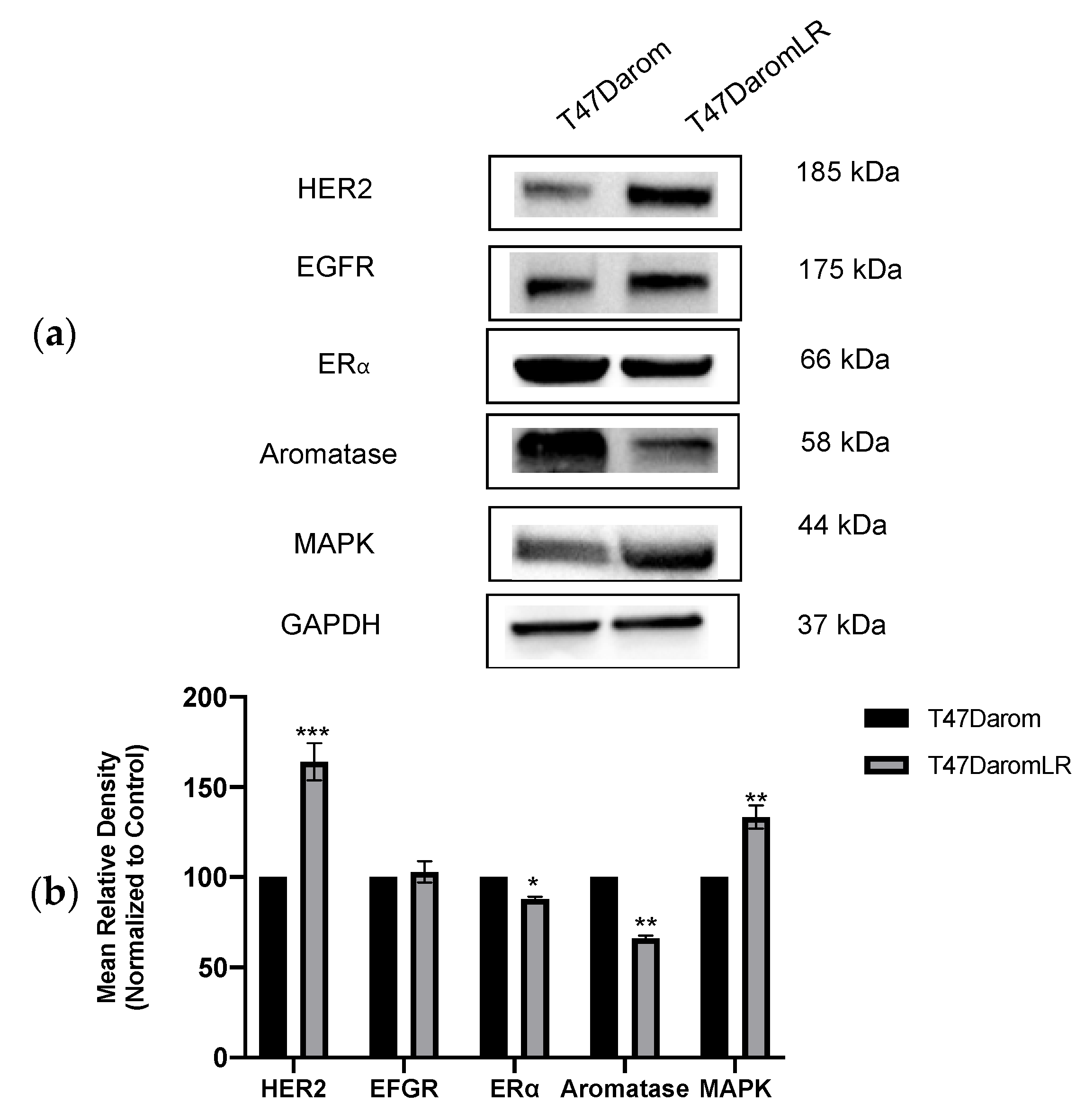 Ijms 23 02887 g002 Ijms 23 02887 g002
