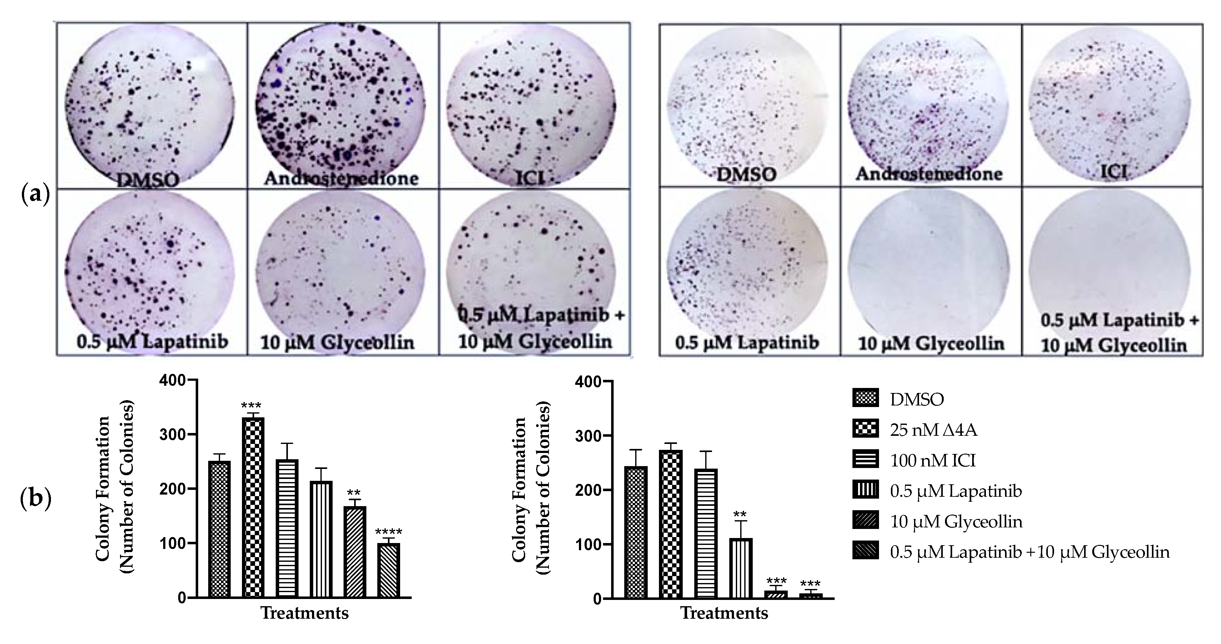 Ijms 23 02887 g004 Ijms 23 02887 g004