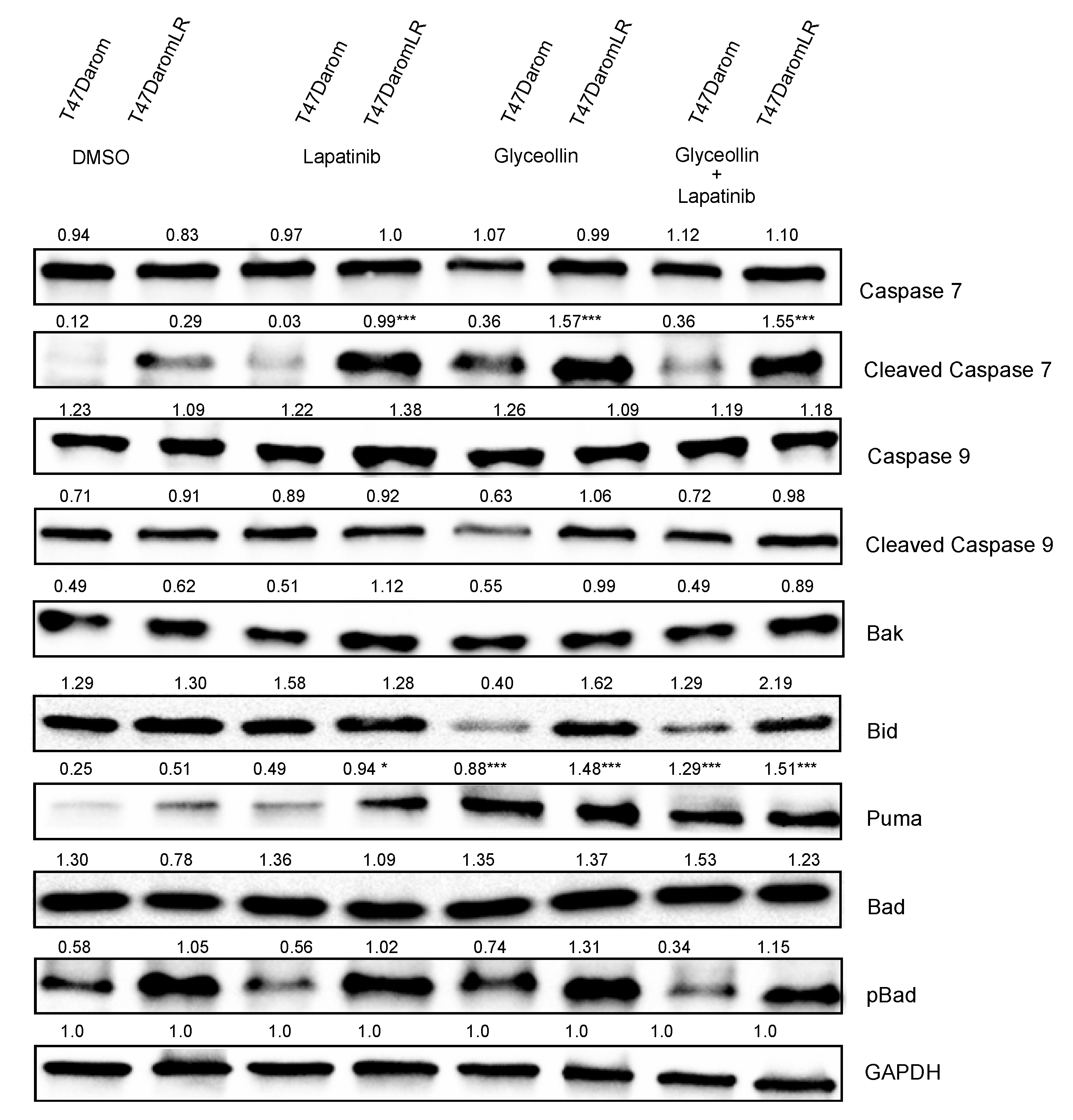 Ijms 23 02887 g007 Ijms 23 02887 g007