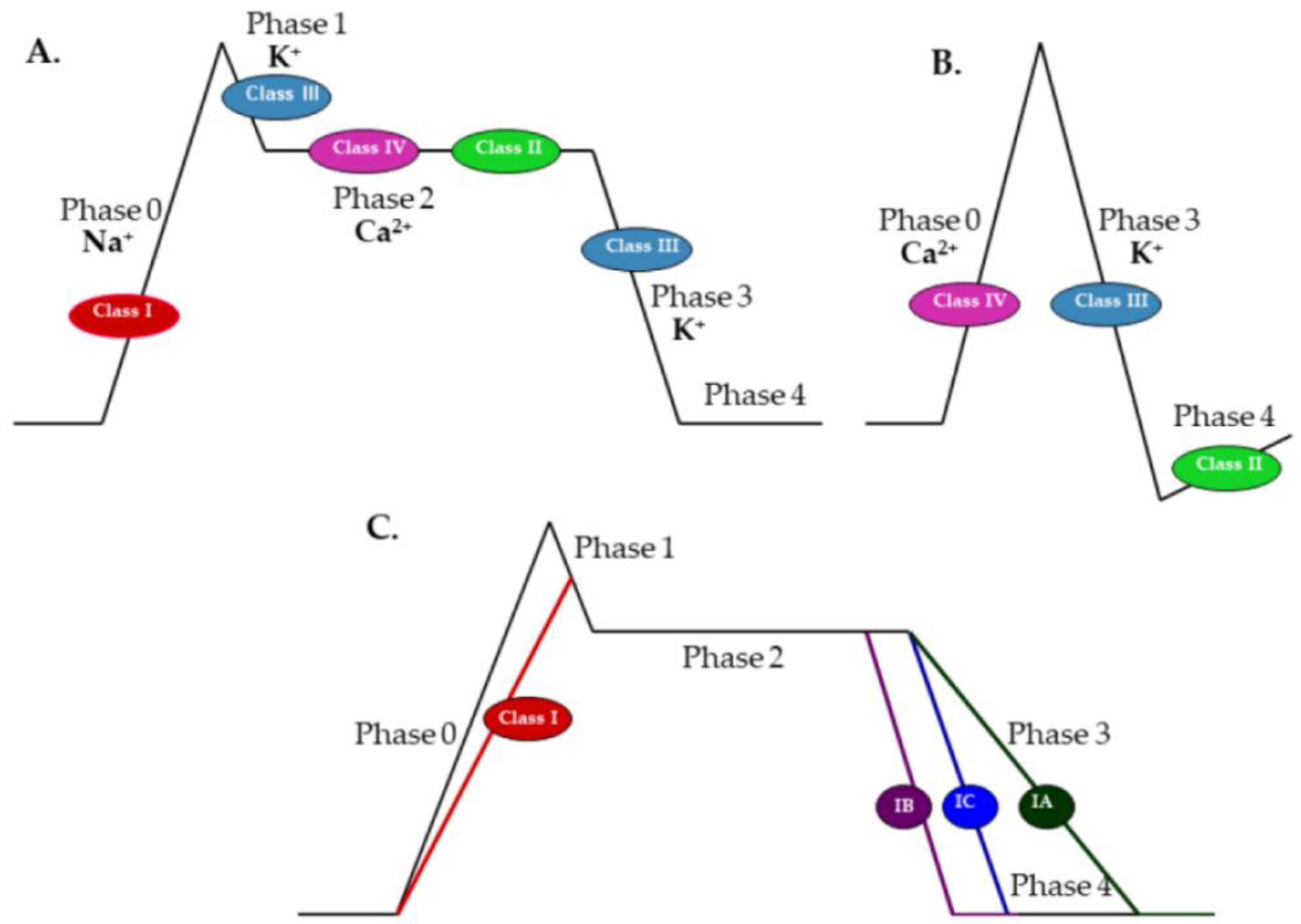 Ijms 23 02891 g001 Ijms 23 02891 g001