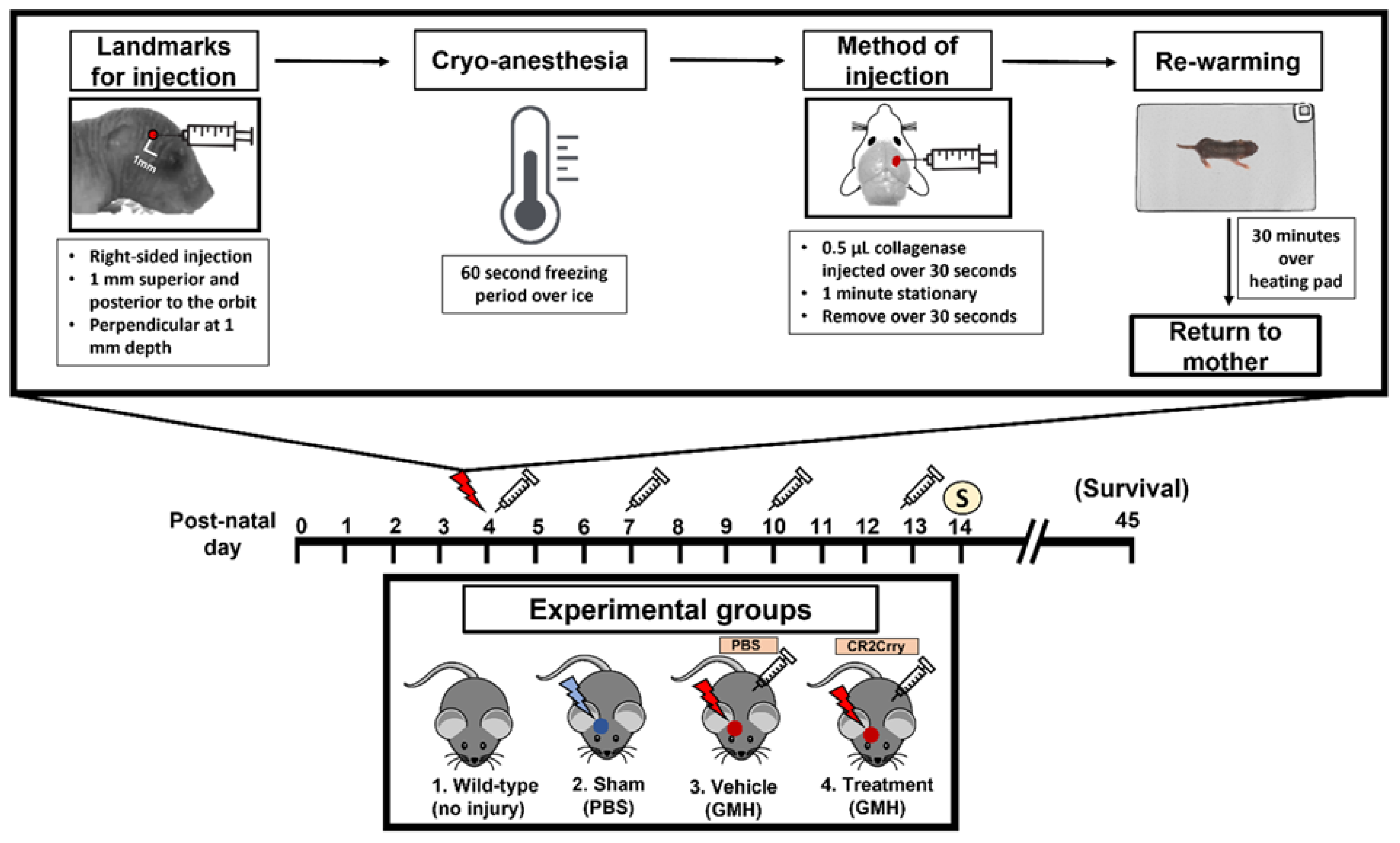 Ijms 23 02943 g001 Ijms 23 02943 g001