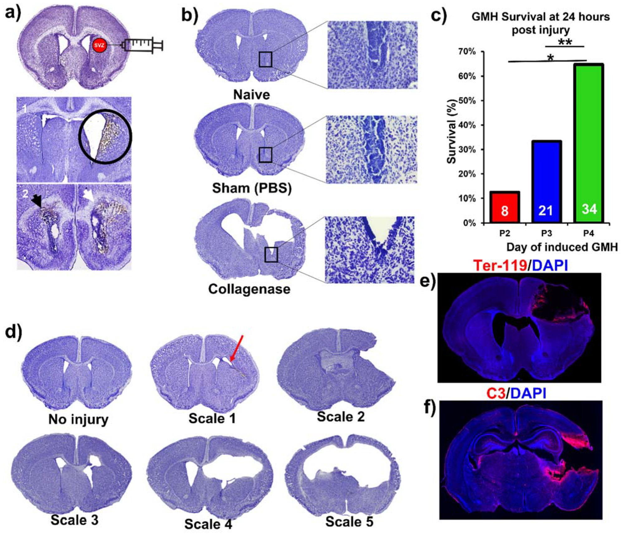 Ijms 23 02943 g002 Ijms 23 02943 g002