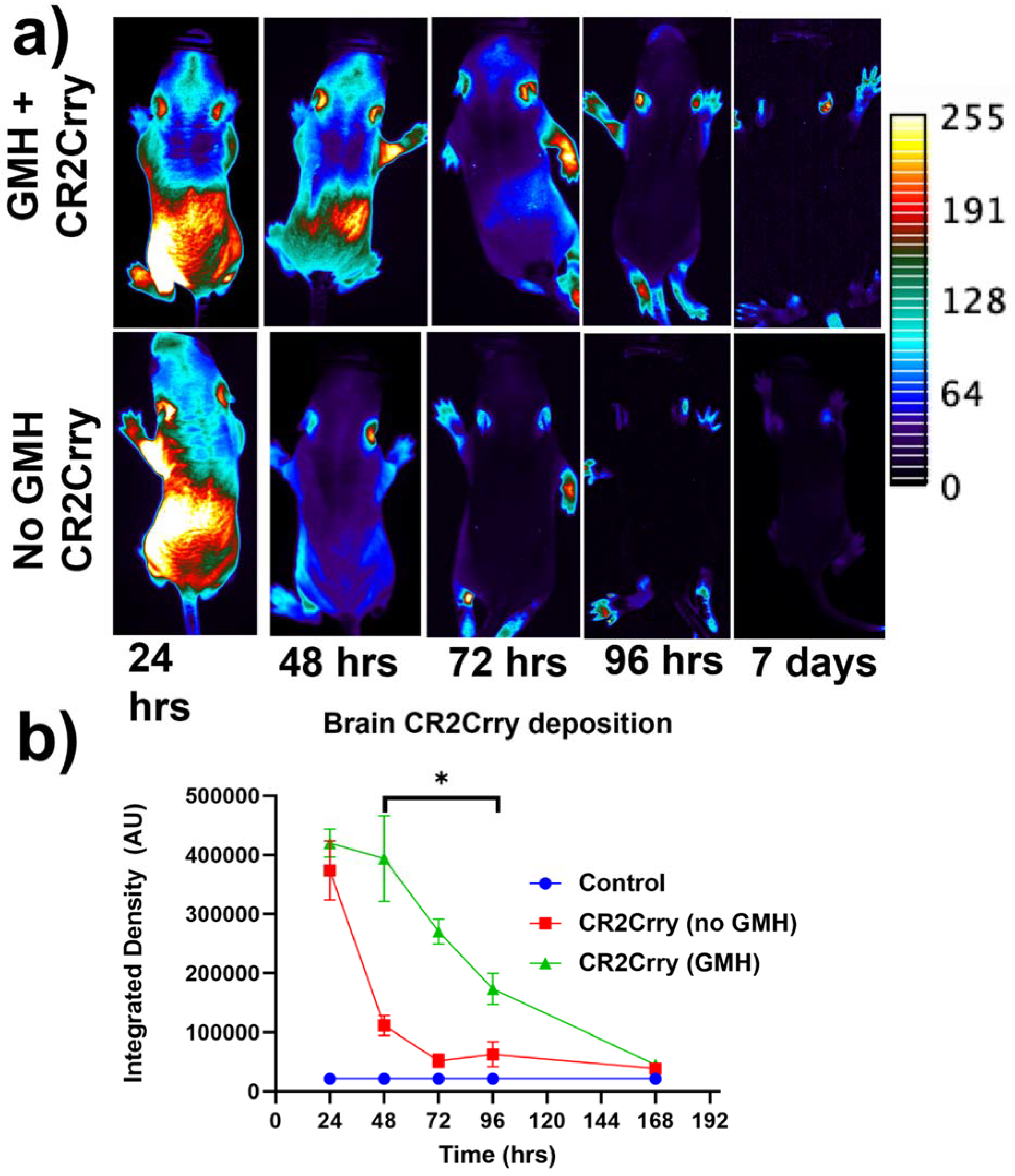Ijms 23 02943 g003 Ijms 23 02943 g003