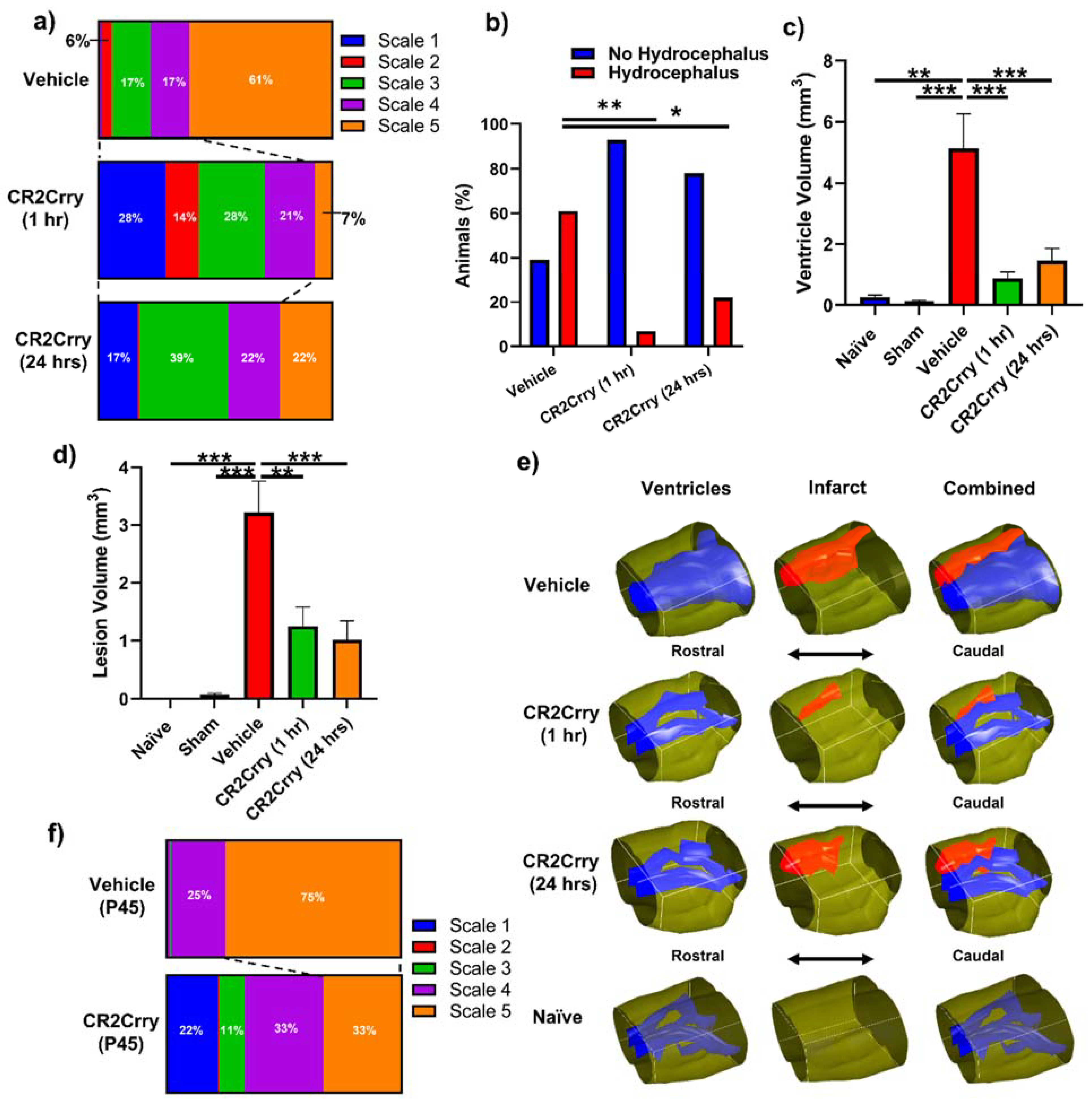 Ijms 23 02943 g004 Ijms 23 02943 g004
