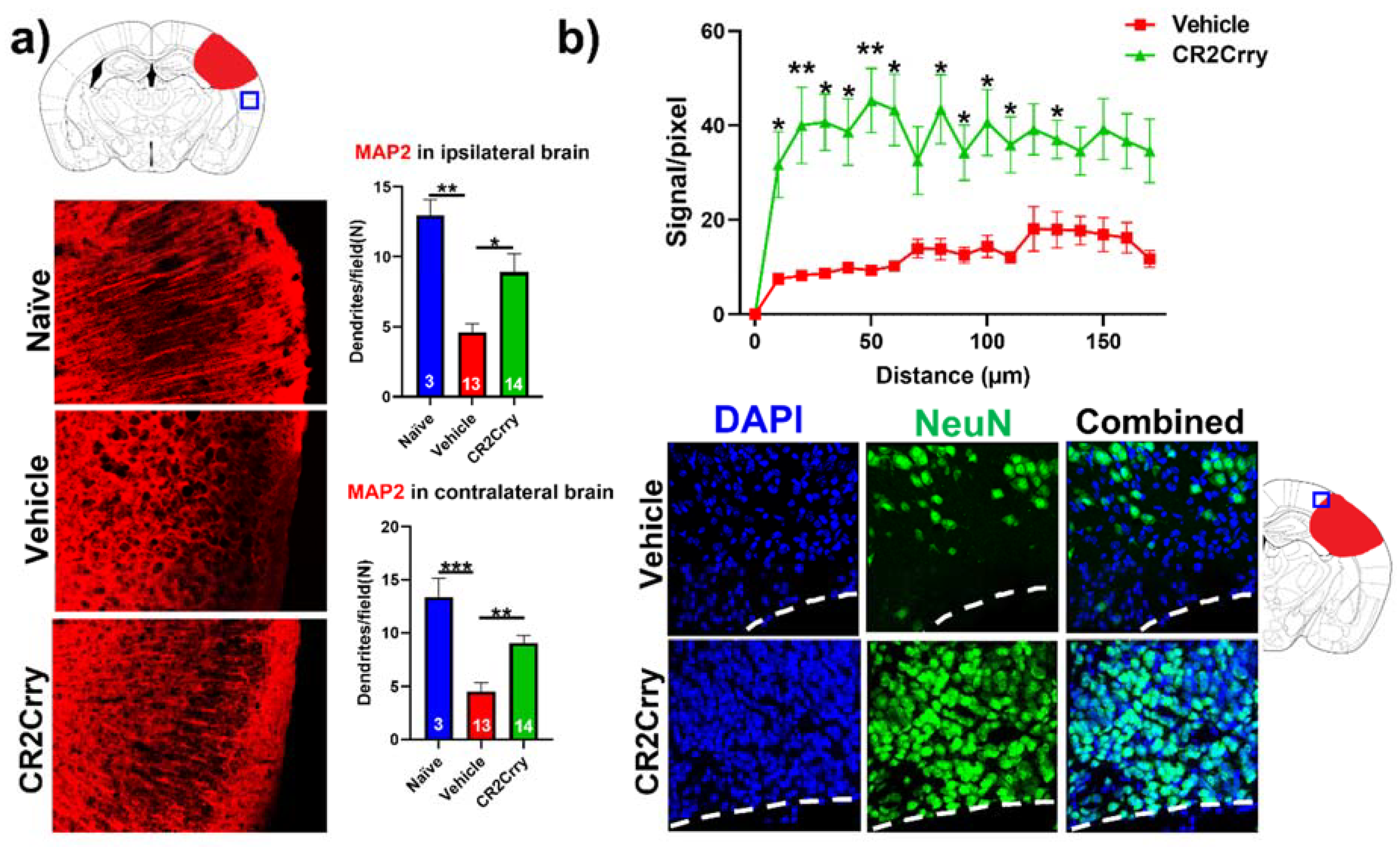 Ijms 23 02943 g006 Ijms 23 02943 g006