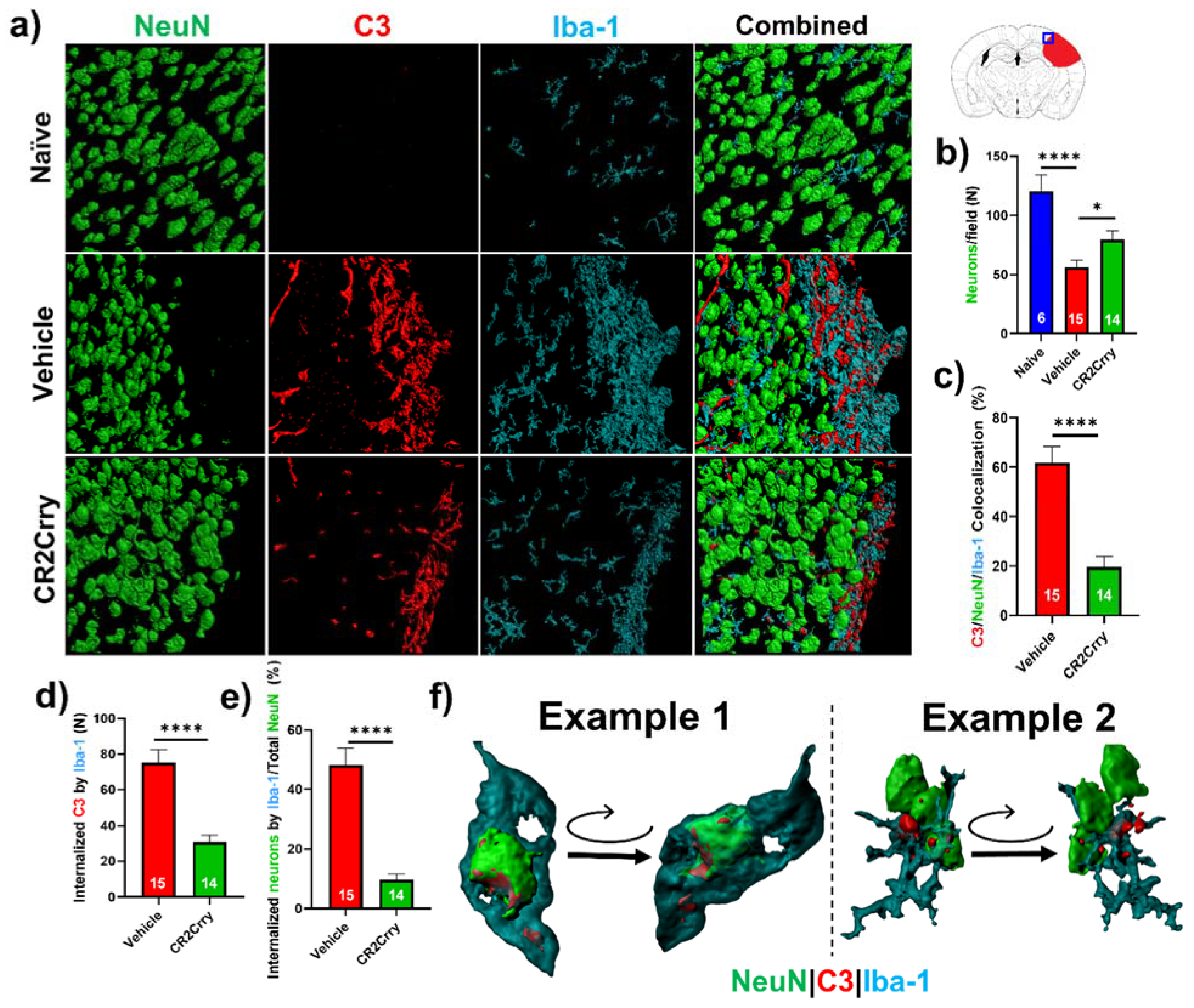 Ijms 23 02943 g007 Ijms 23 02943 g007