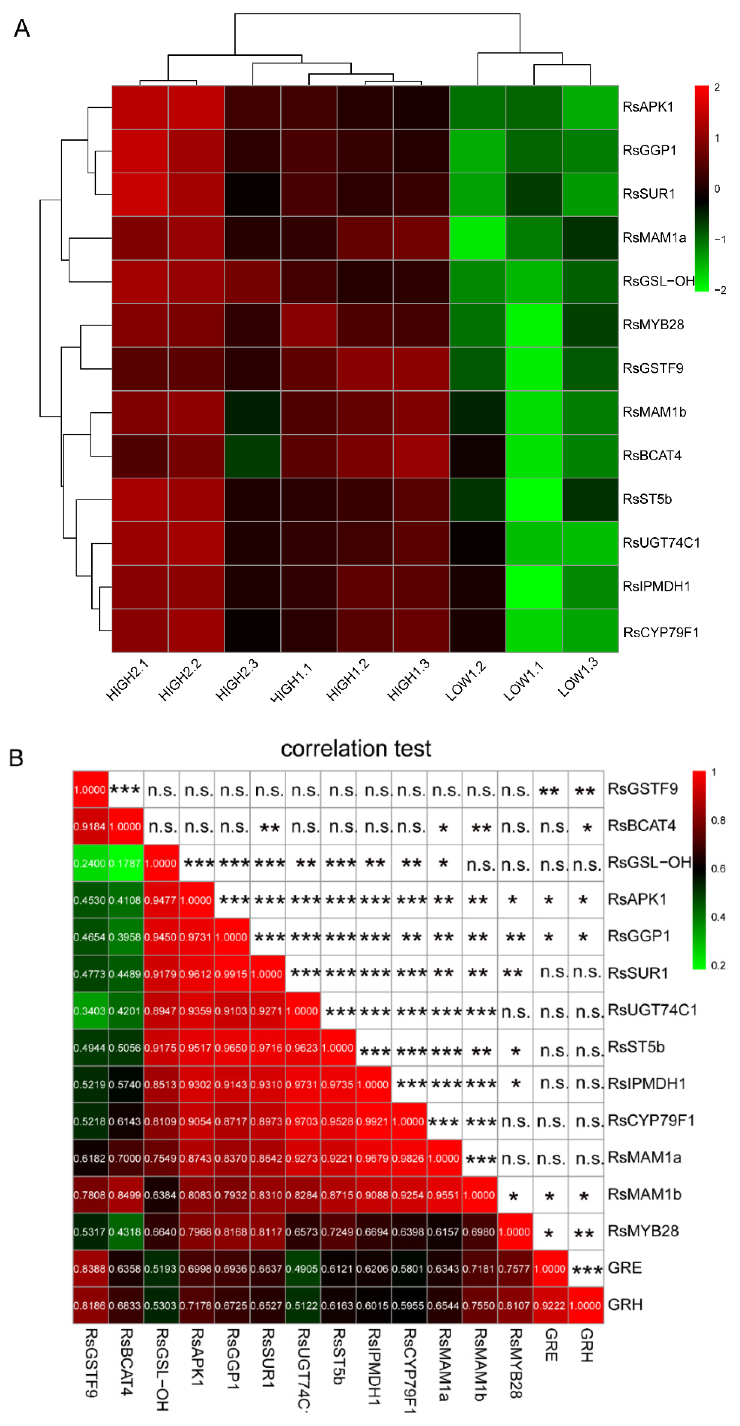 Ijms 23 02953 g004 Ijms 23 02953 g004