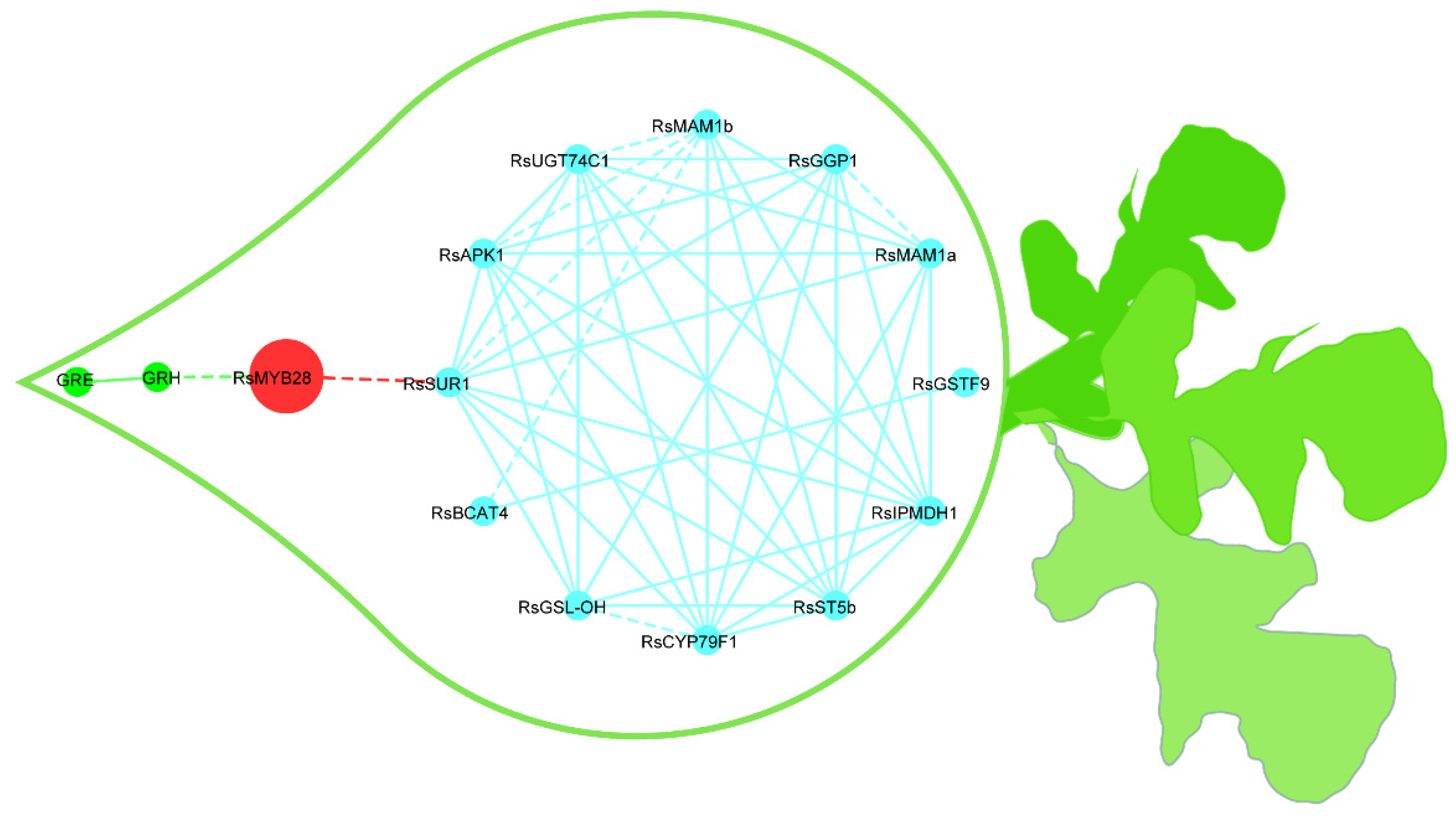 Ijms 23 02953 g005 Ijms 23 02953 g005