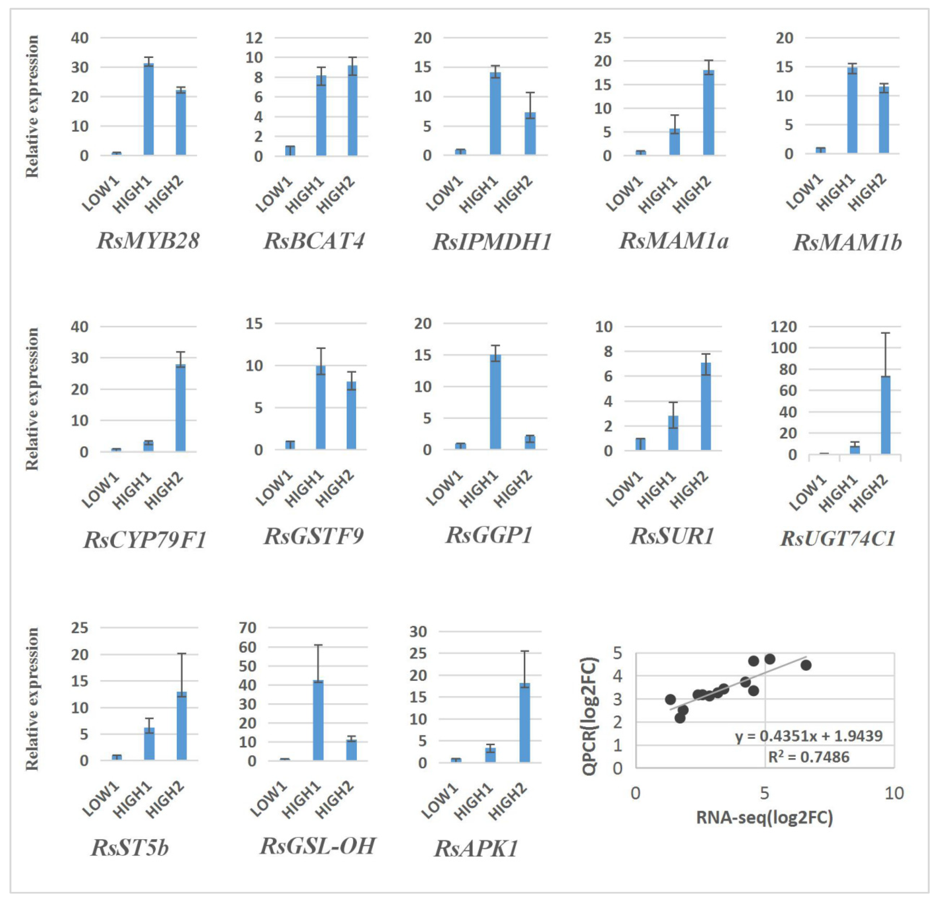 Ijms 23 02953 g006 Ijms 23 02953 g006