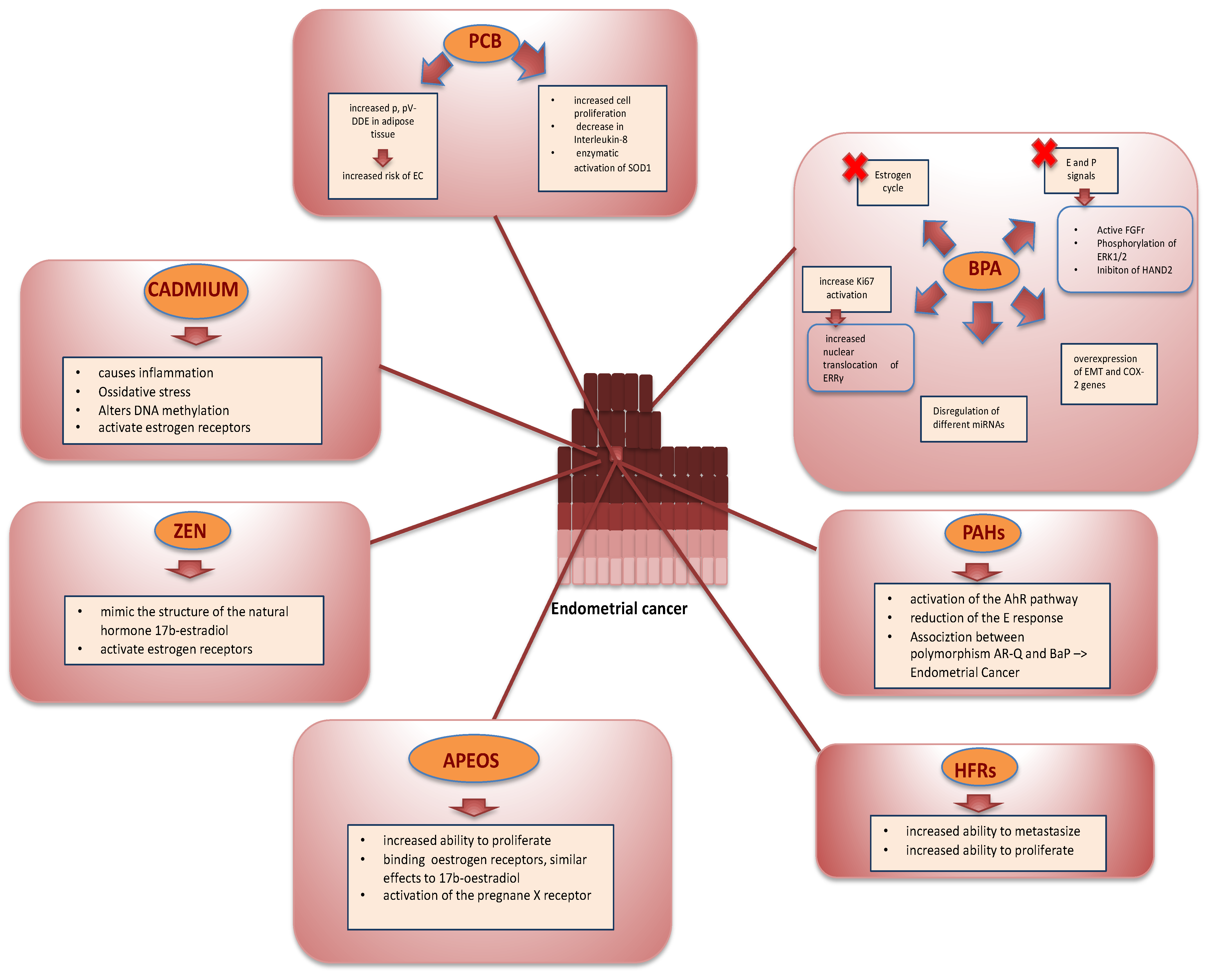 Ijms 23 02956 g001 Ijms 23 02956 g001