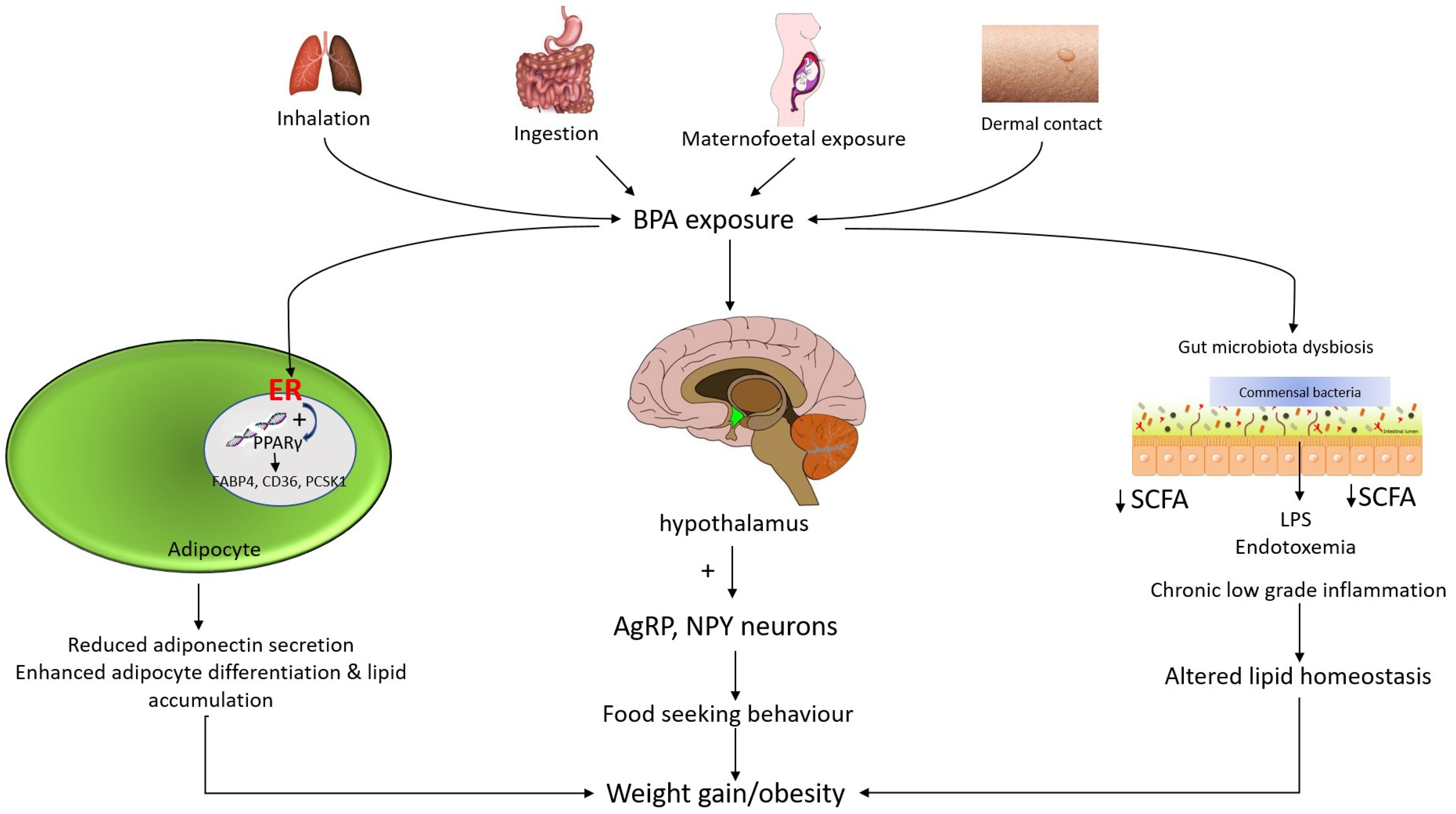 Ijms 23 02969 g002 Ijms 23 02969 g002