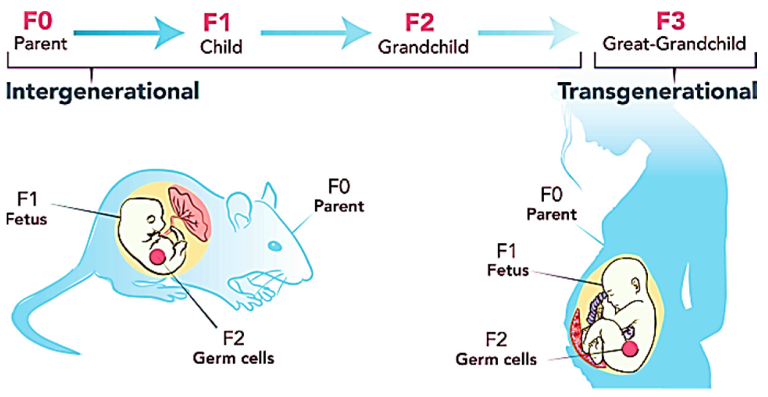 Ijms 23 02969 g003 Ijms 23 02969 g003