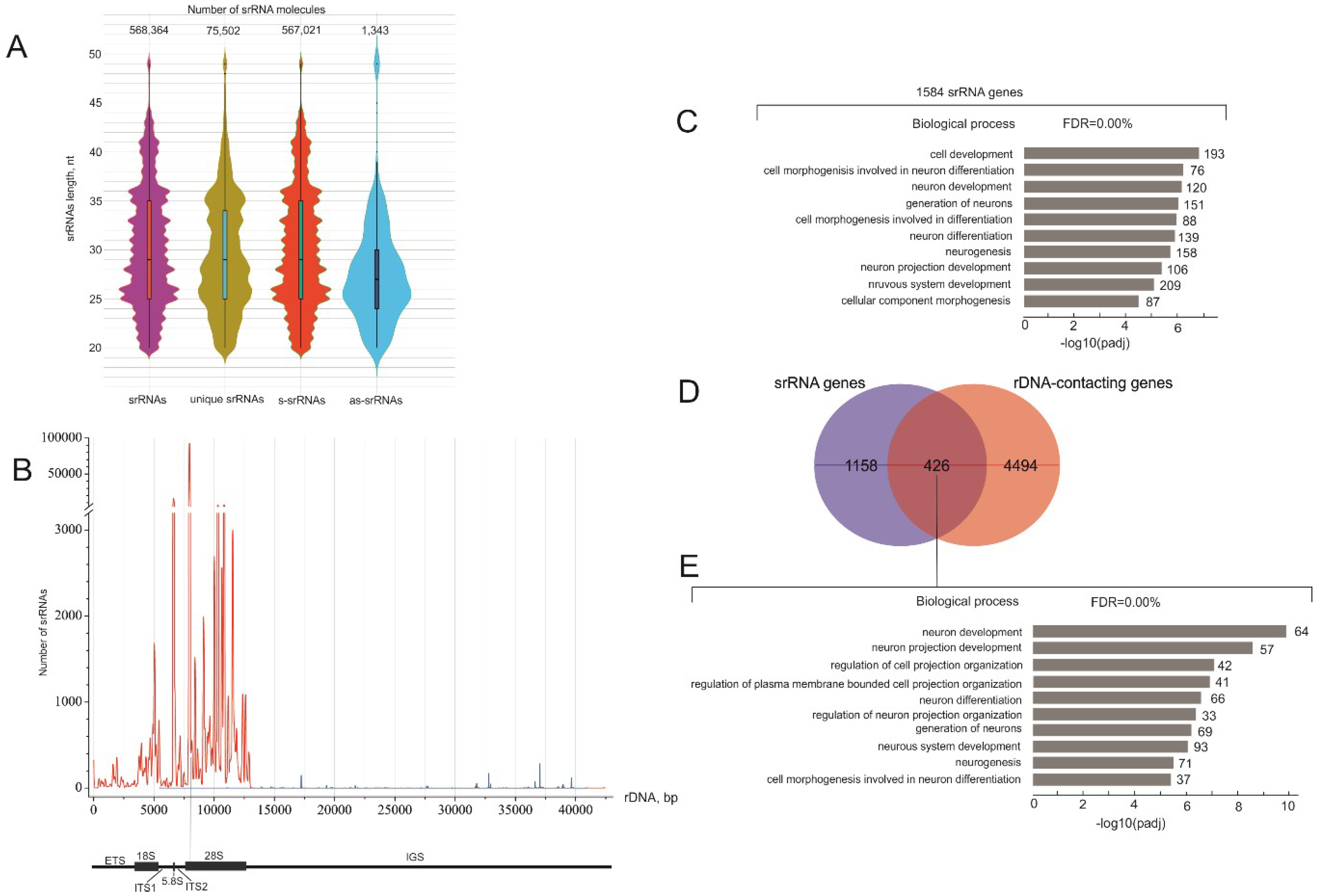 Ijms 23 03014 g001 Ijms 23 03014 g001