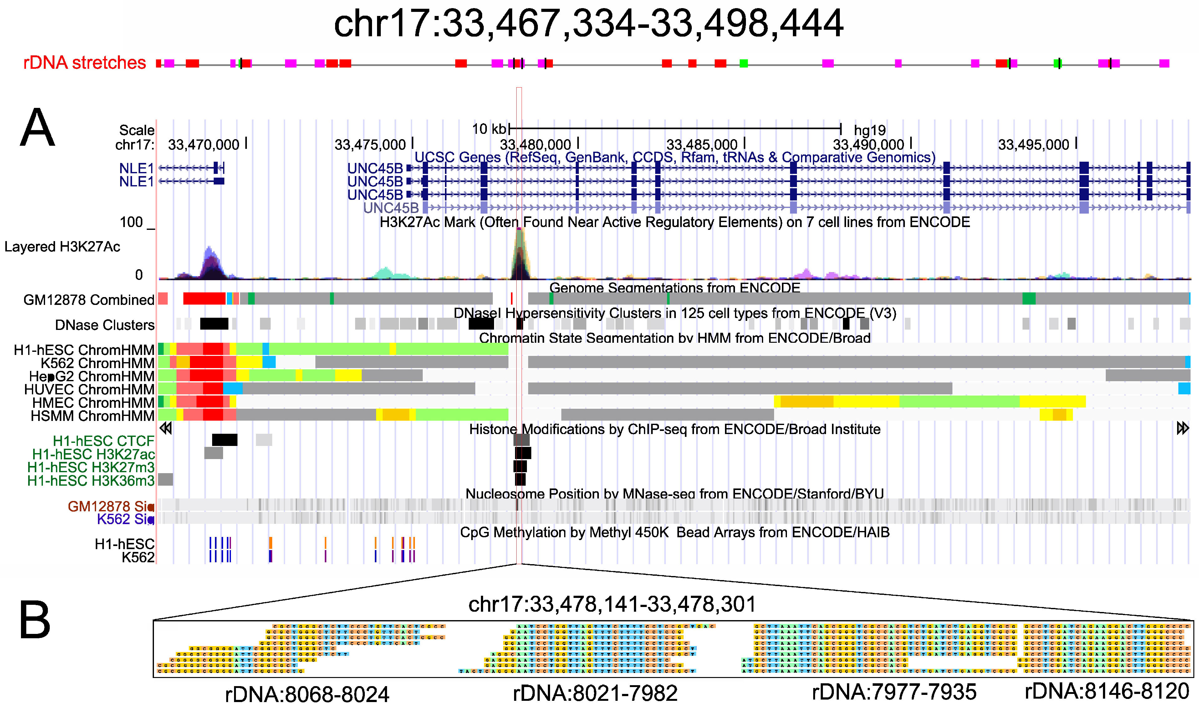 Ijms 23 03014 g002 Ijms 23 03014 g002
