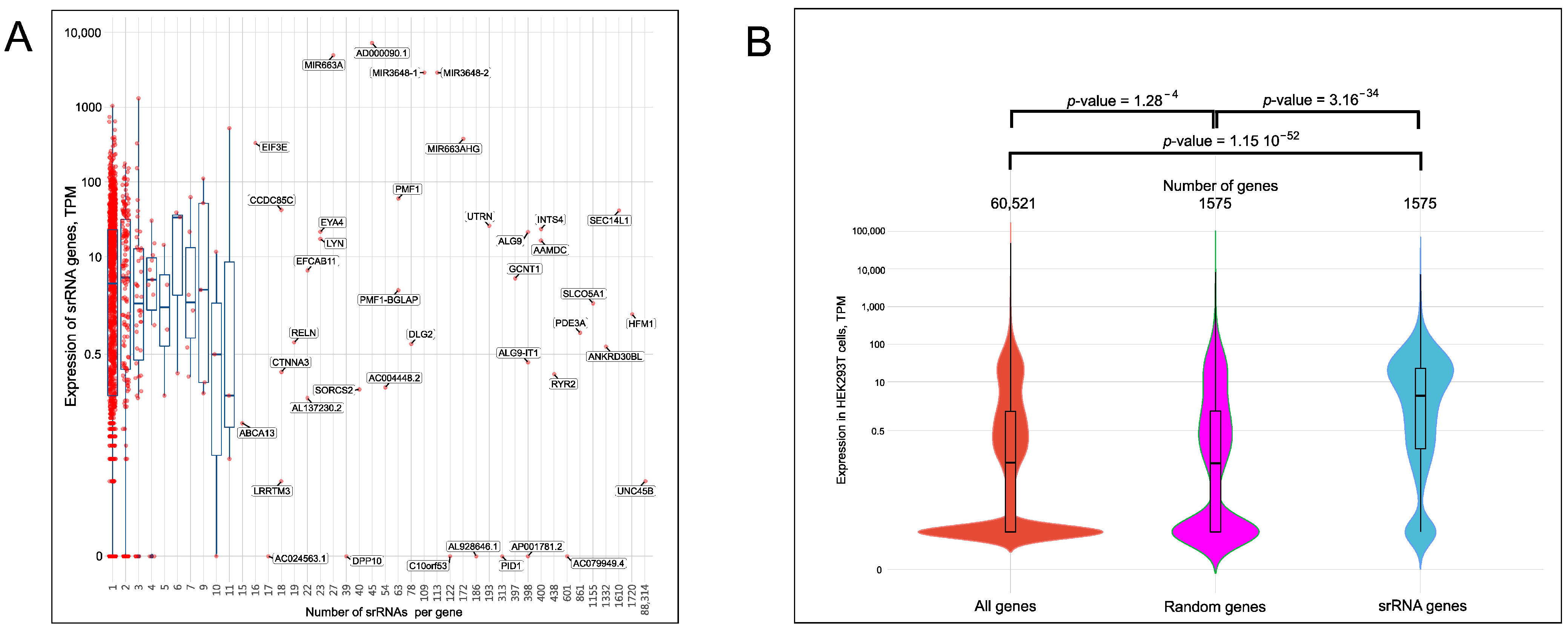 Ijms 23 03014 g004 Ijms 23 03014 g004