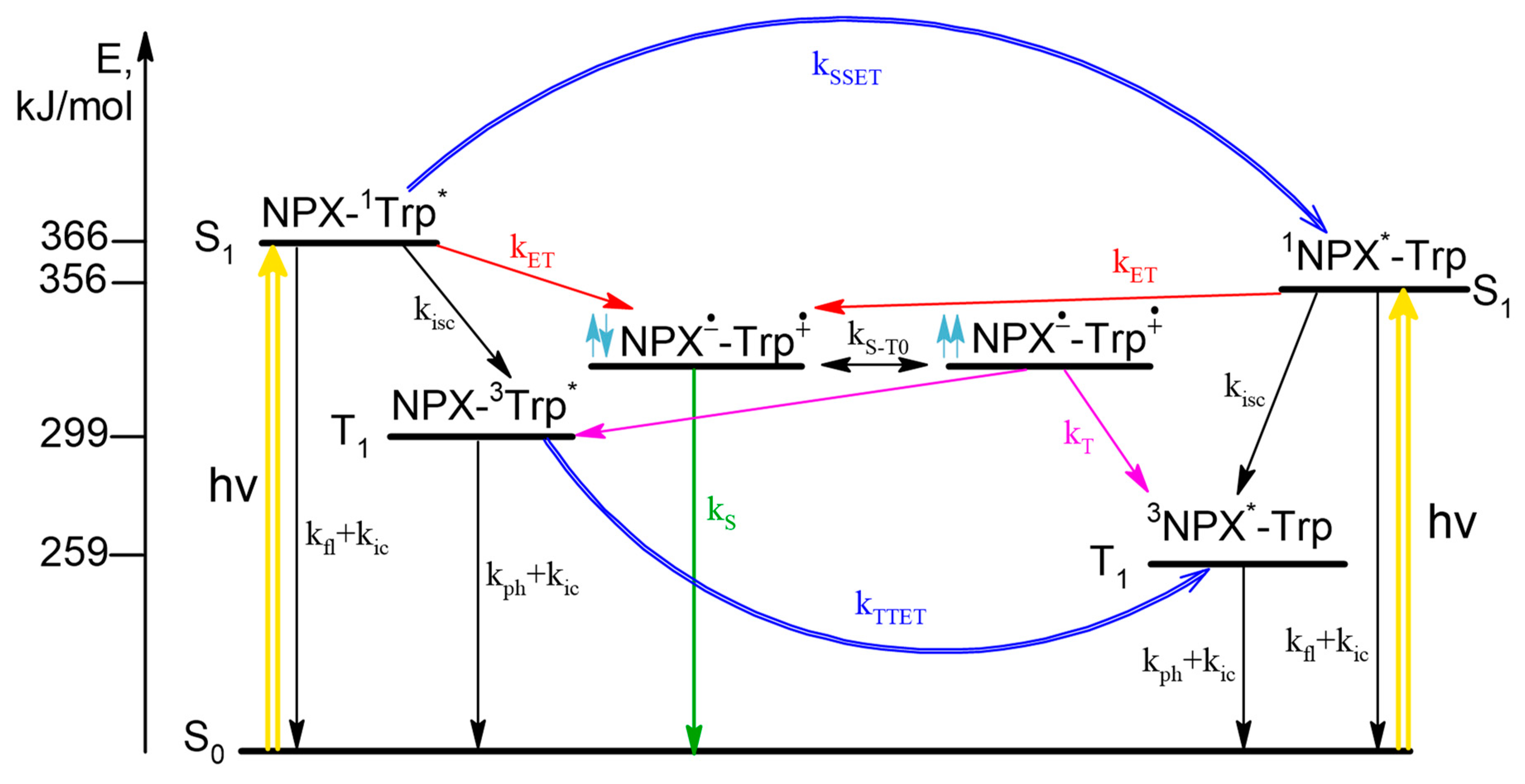 Ijms 23 03060 sch001