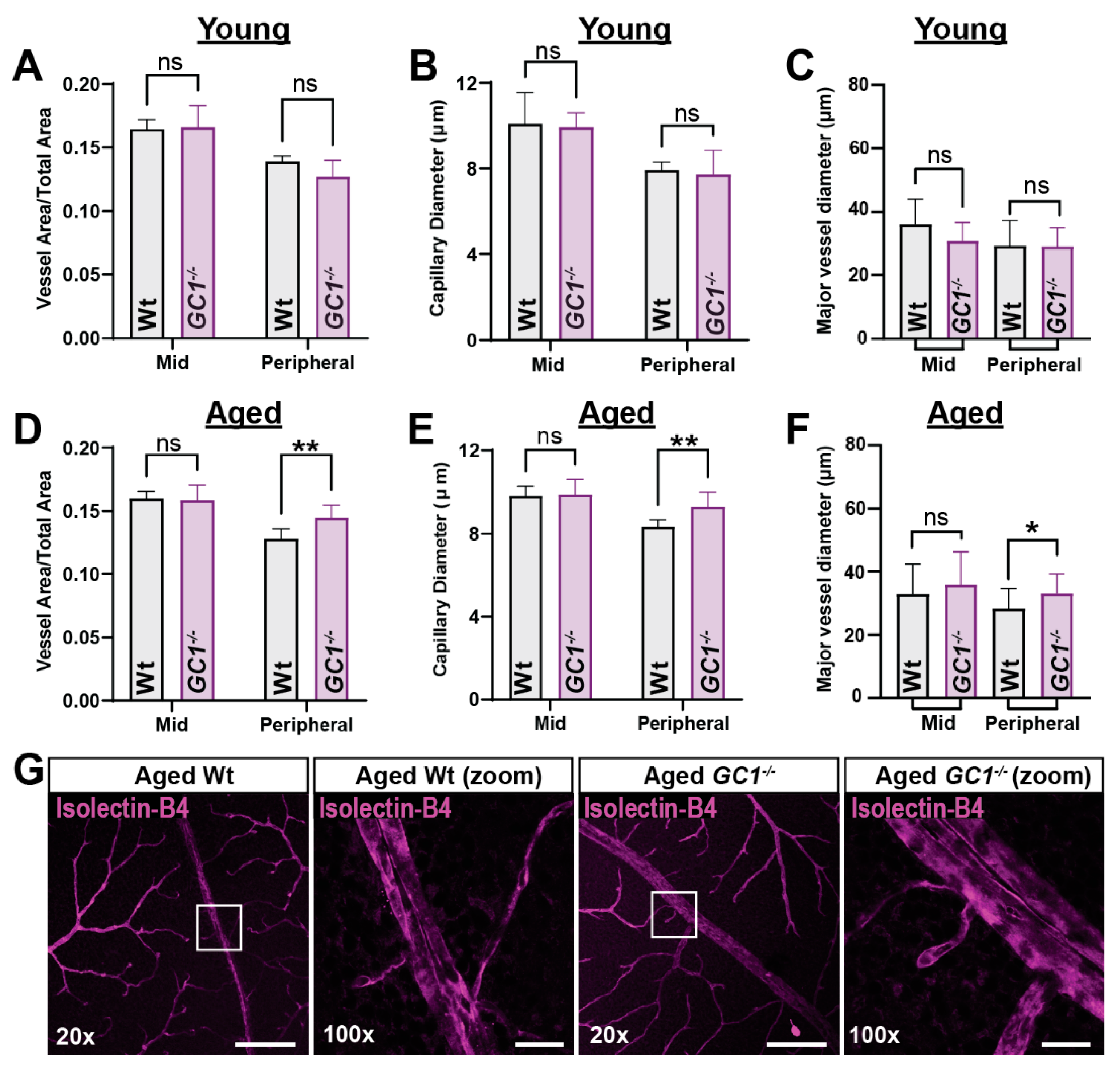 Ijms 23 03066 g001 Ijms 23 03066 g001