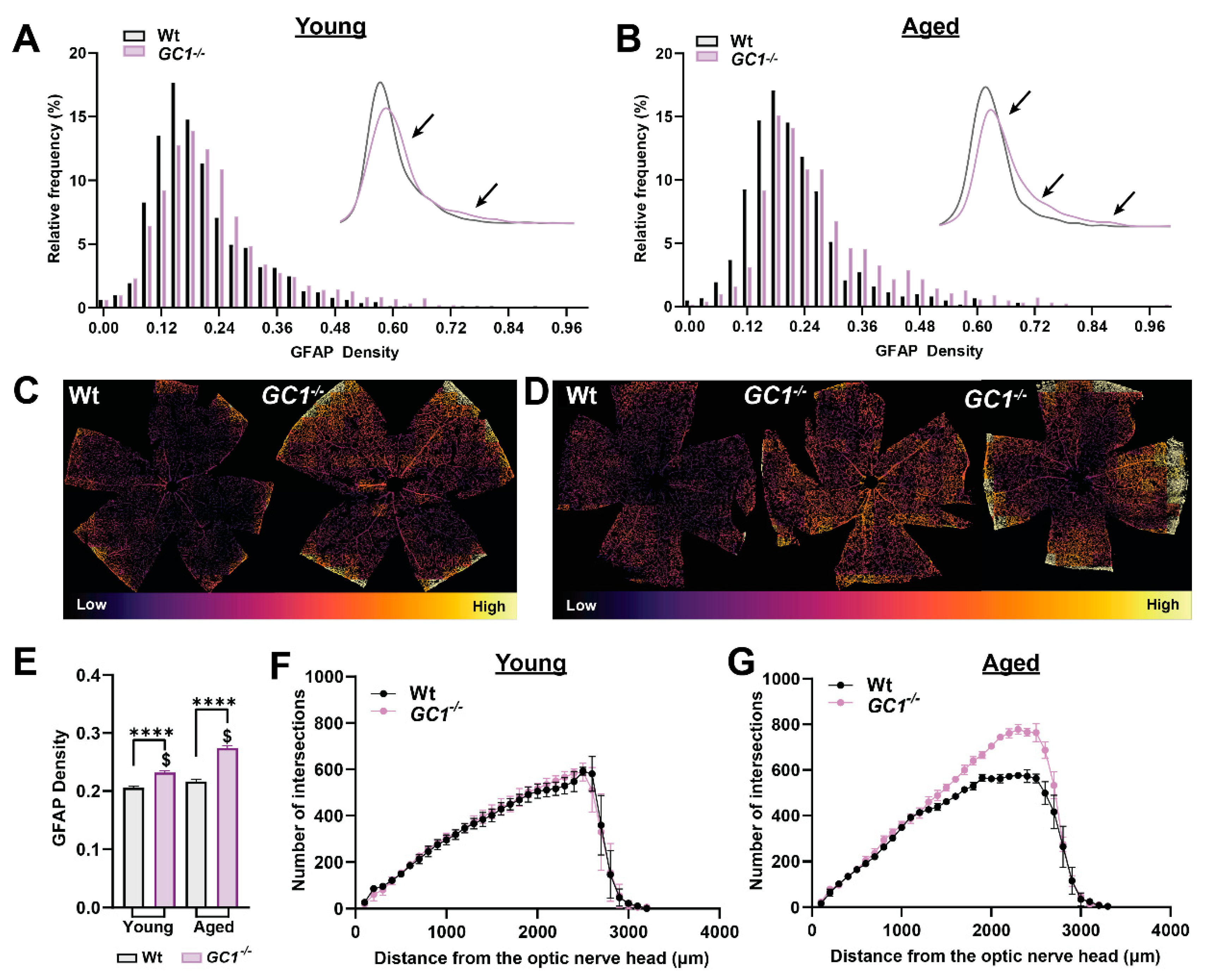 Ijms 23 03066 g005 Ijms 23 03066 g005