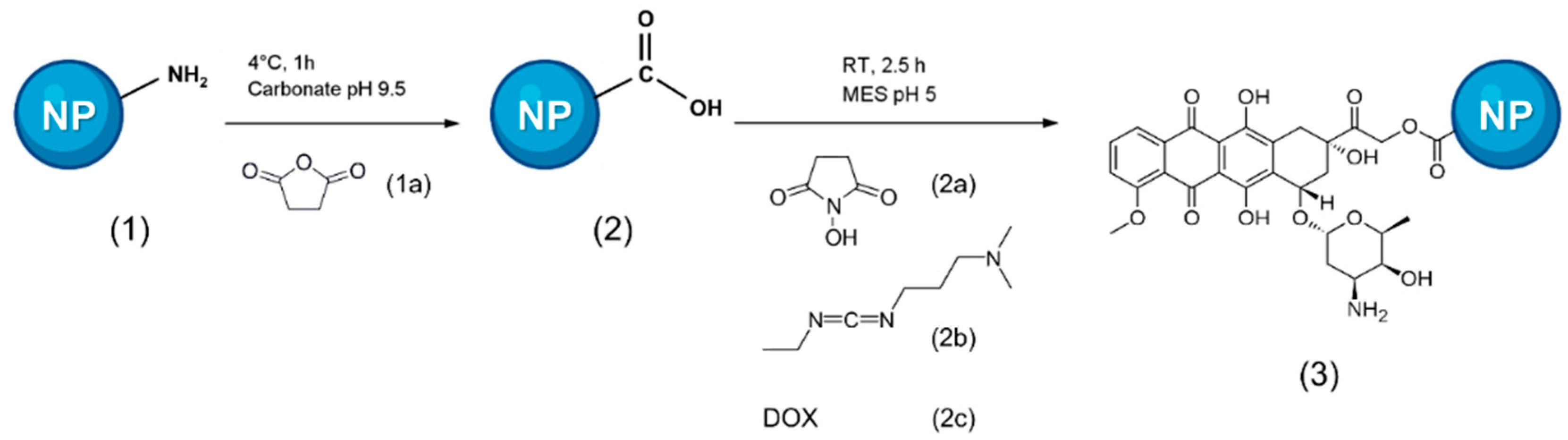 Ijms 23 03069 sch001