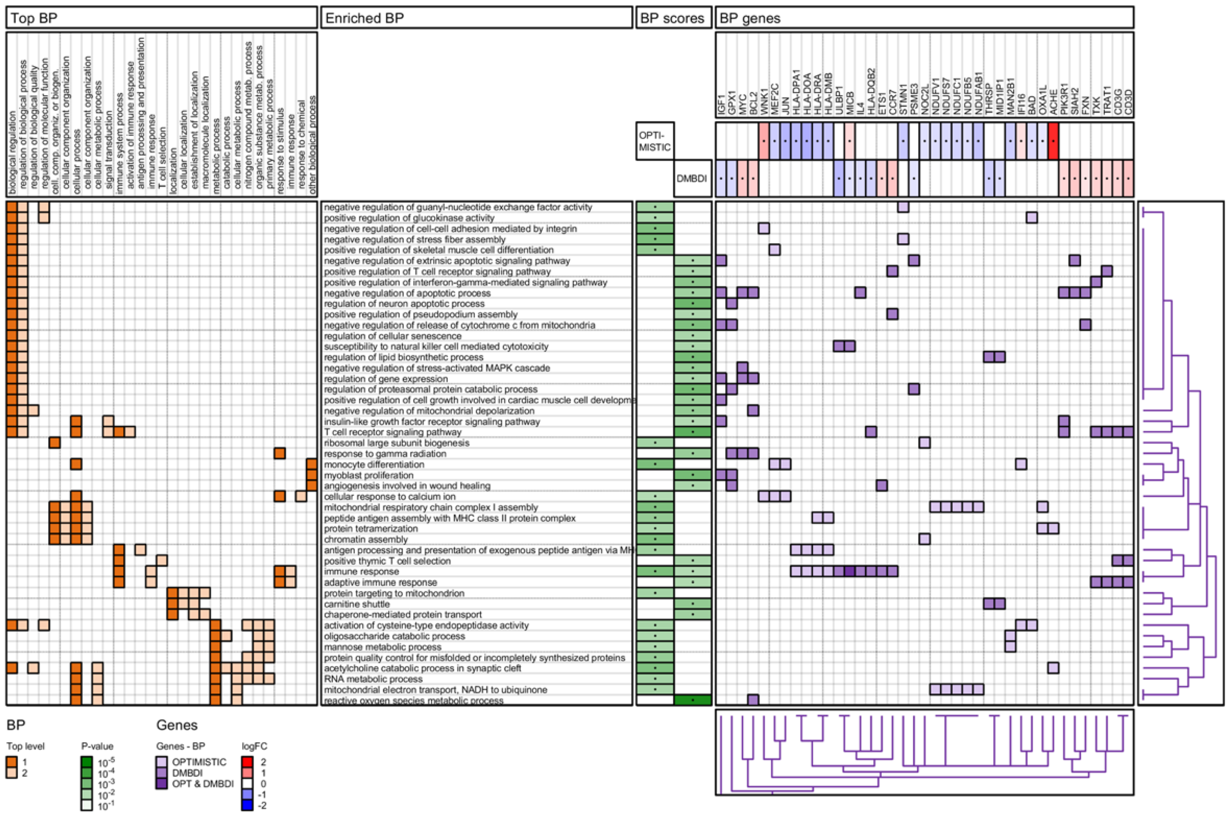 Ijms 23 03081 g006 Ijms 23 03081 g006