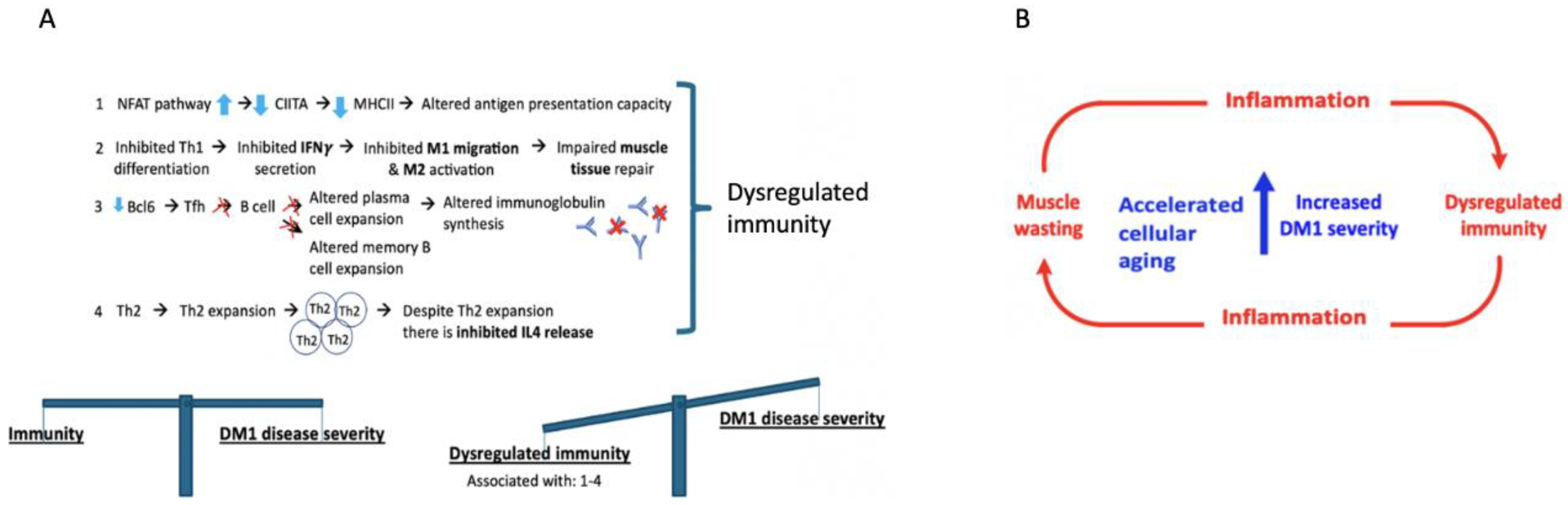 Ijms 23 03081 g008 Ijms 23 03081 g008