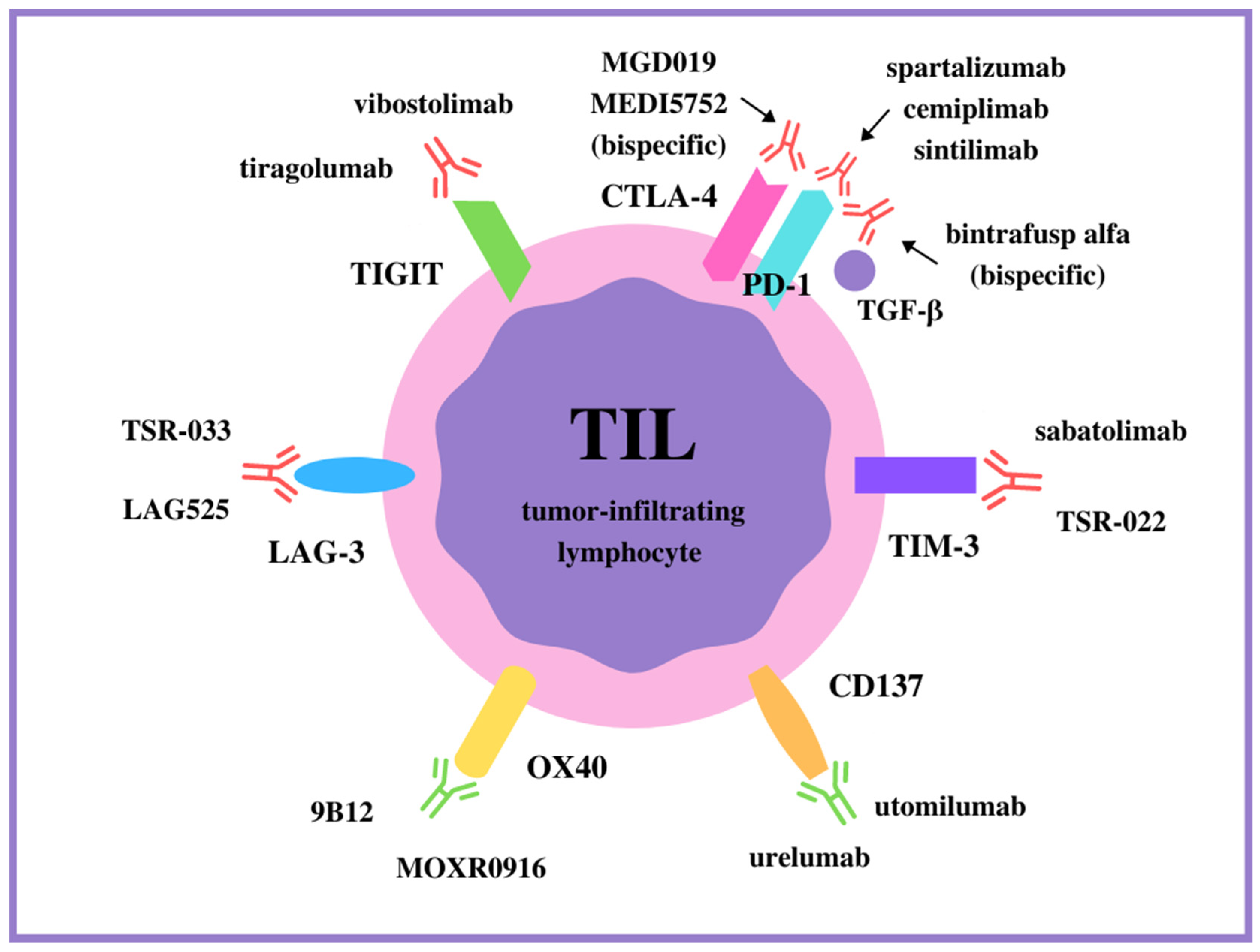 Ijms 23 03087 g001 Ijms 23 03087 g001