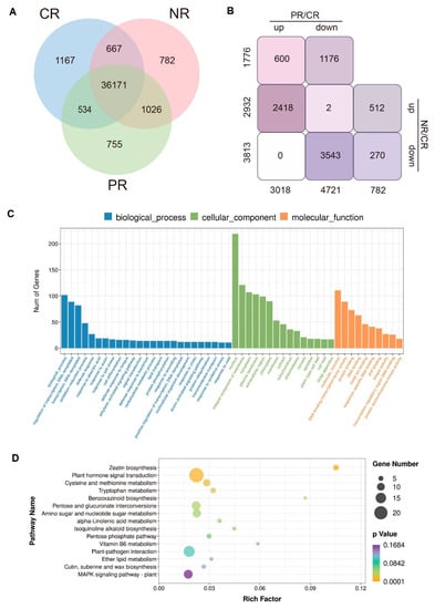Ijms 23 03090 g004 550