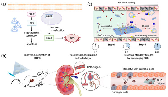 Ijms 23 03093 g004 550